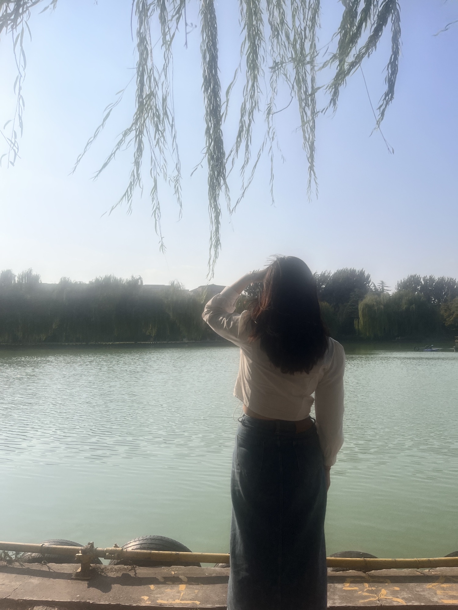 月季公园旅行图片 3