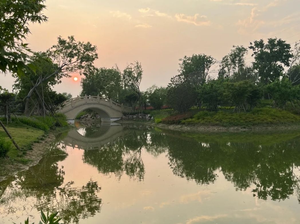 焦作盆景园旅行图片 1