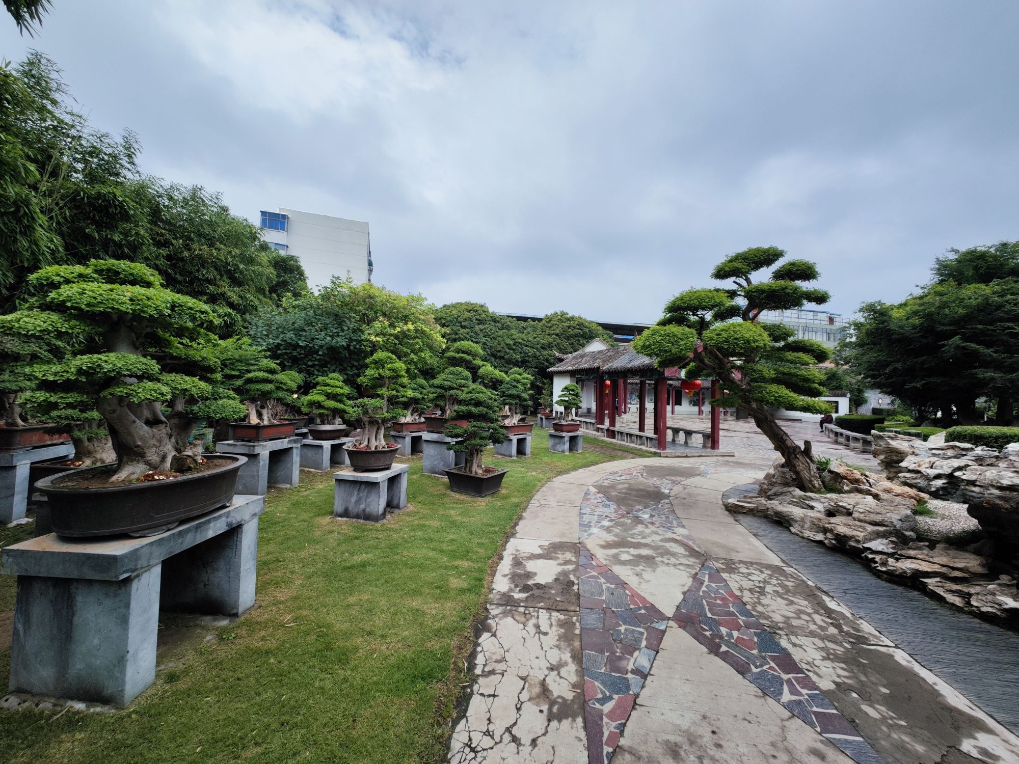 焦作盆景园旅行图片 3