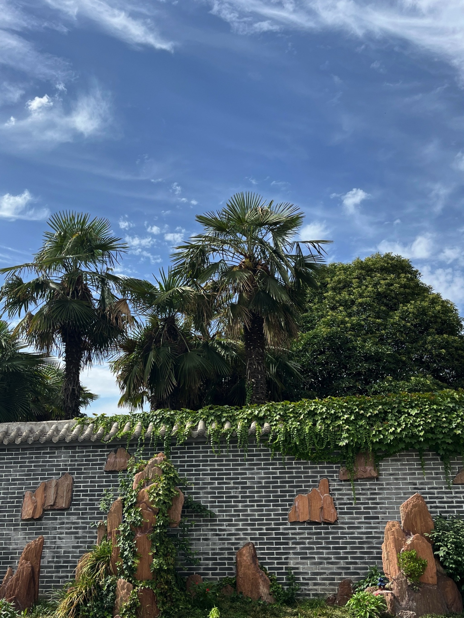 焦作盆景园旅行图片 1