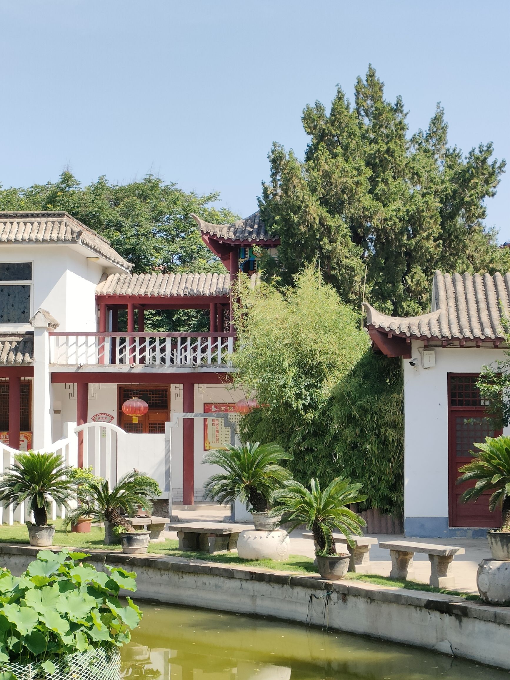 焦作盆景园旅行图片 3