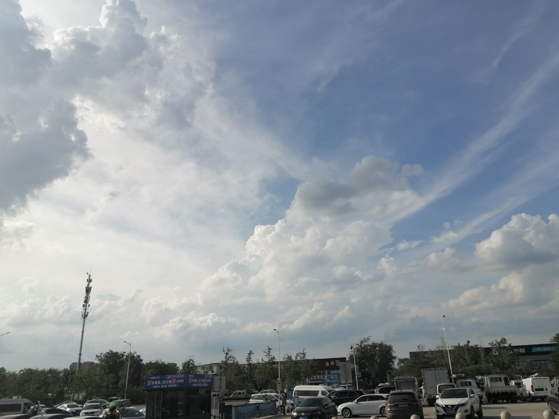 人民公园旅行图片 1