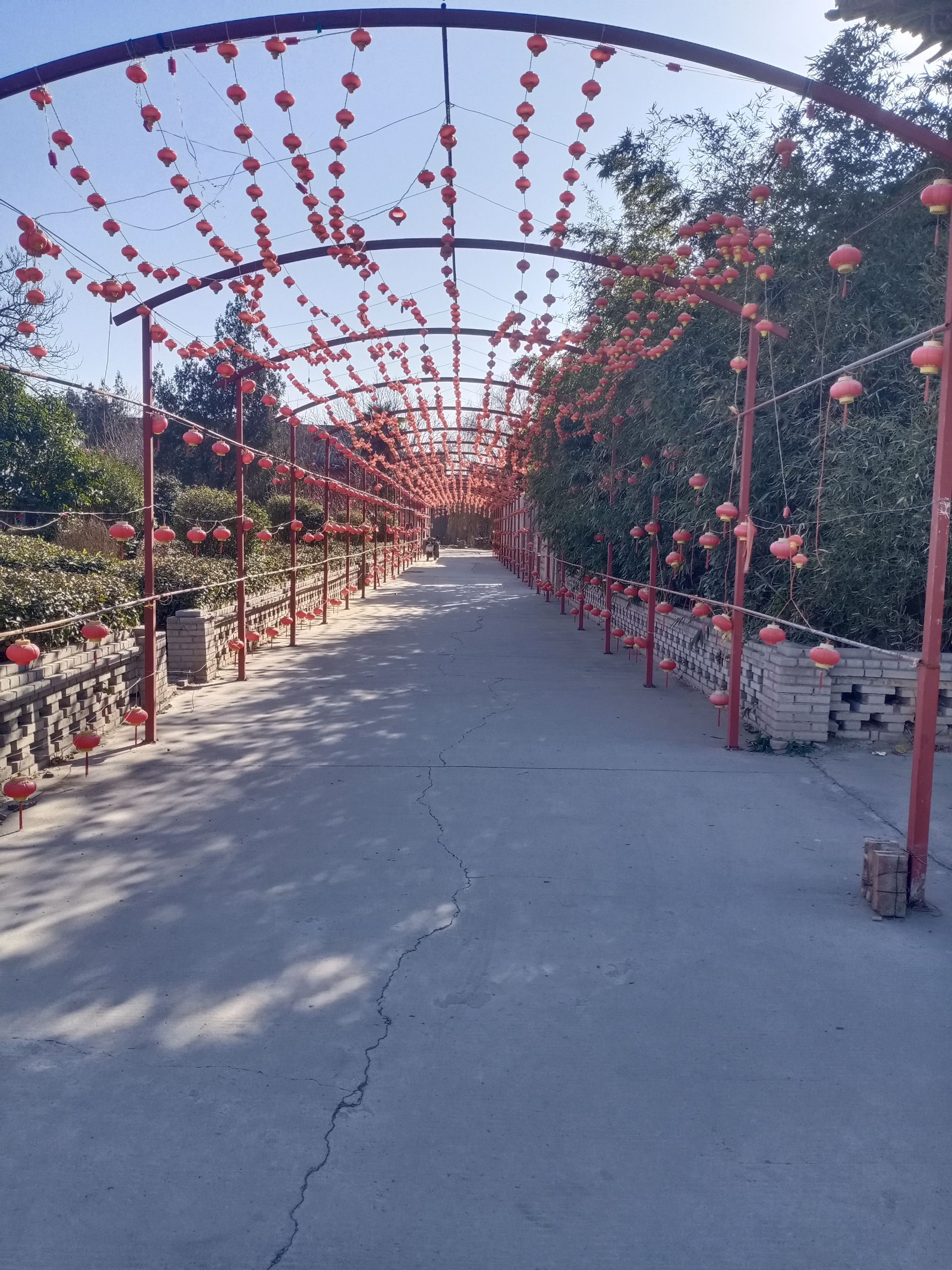 青龙宫旅行图片 3