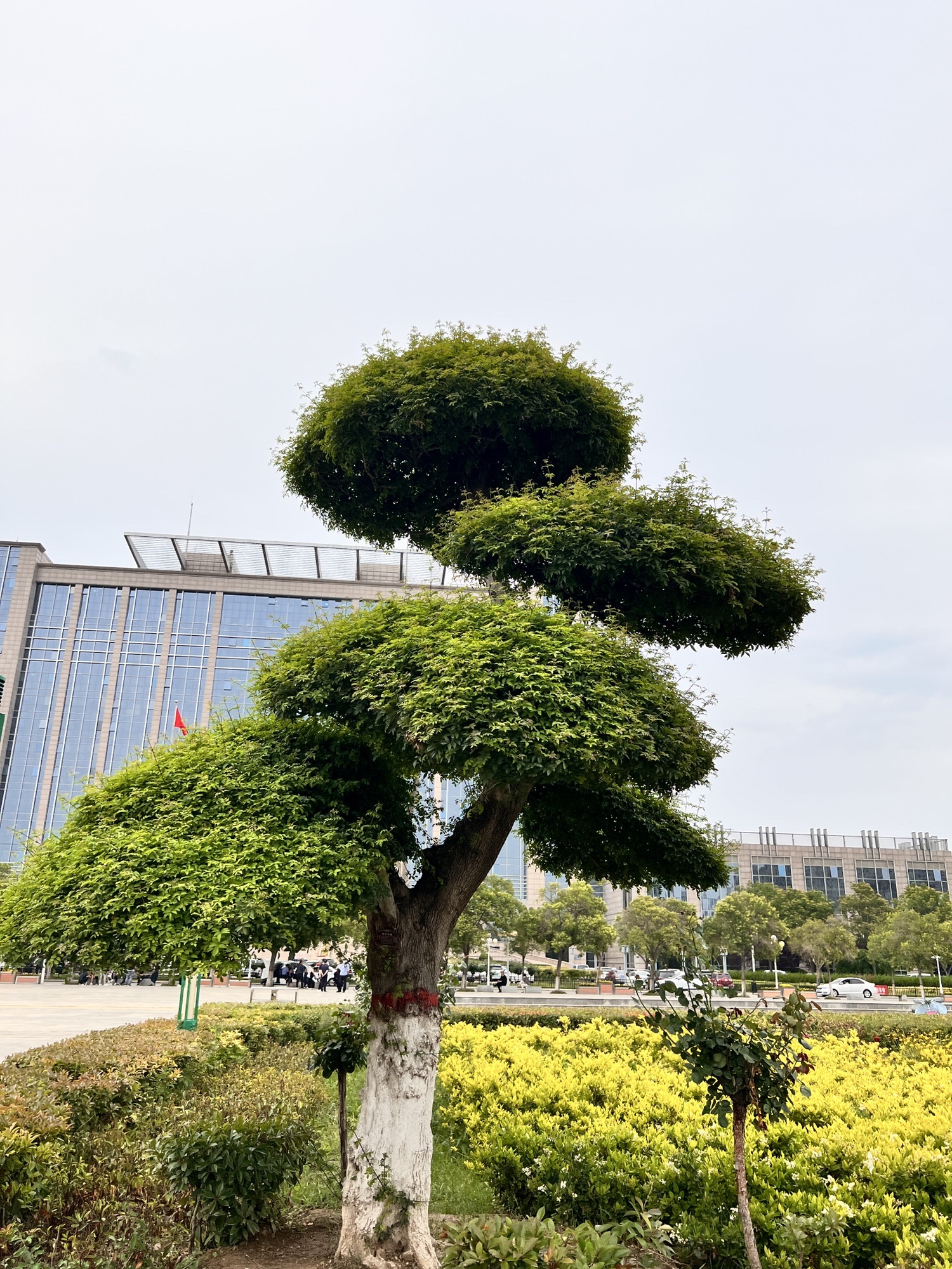 人民广场旅行图片 3