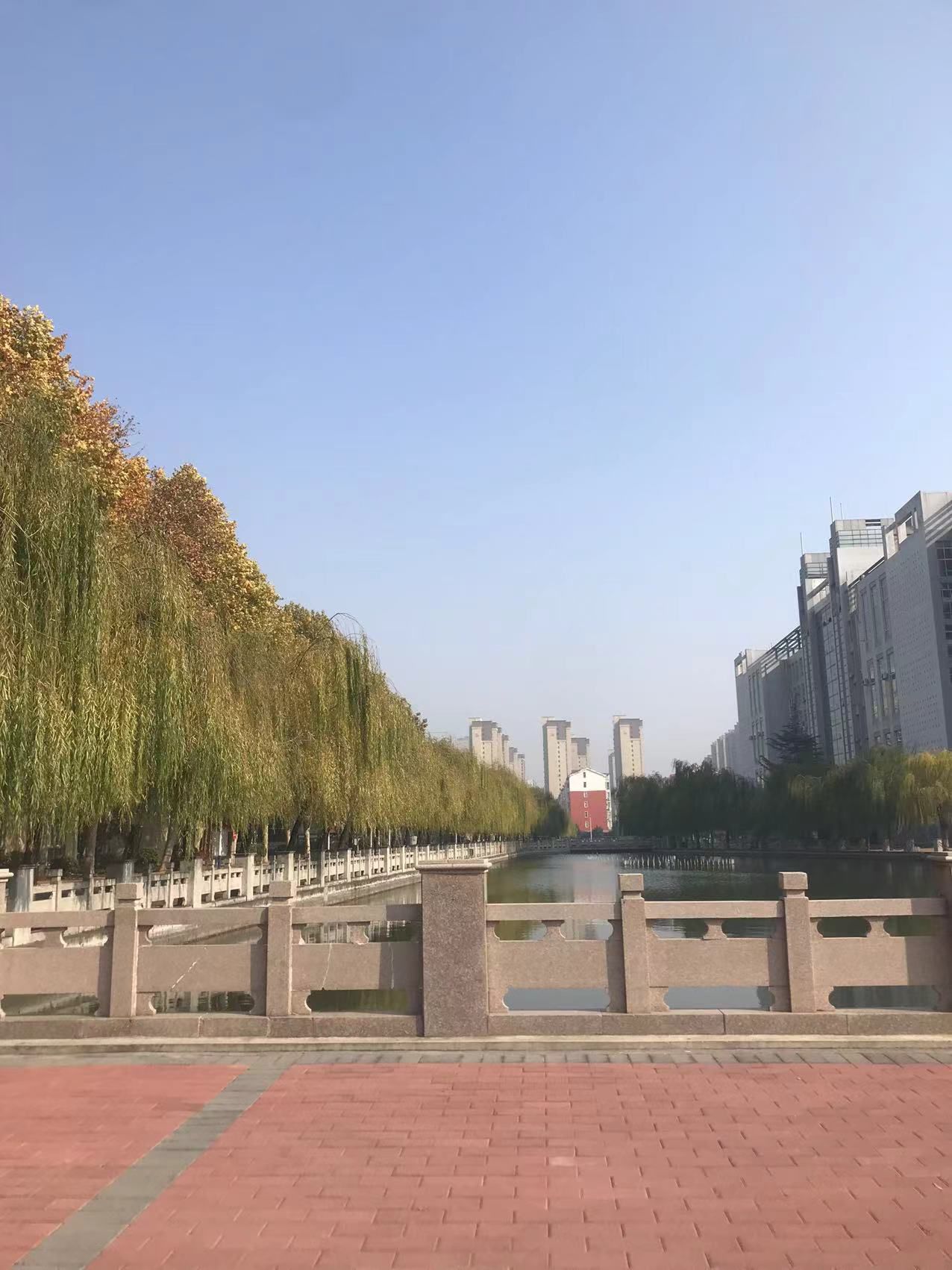 焦作大学(北校区)