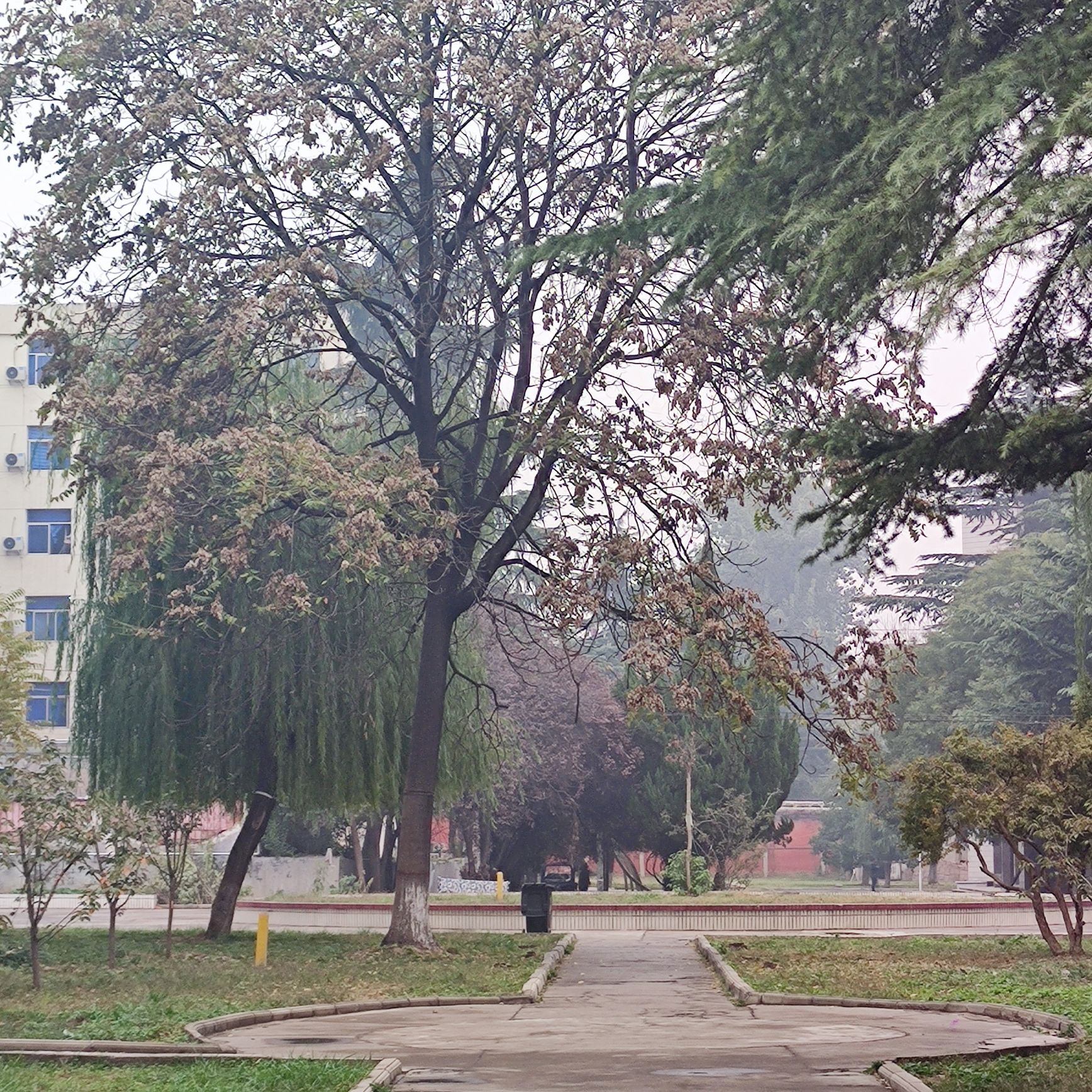 焦作大学(北校区)