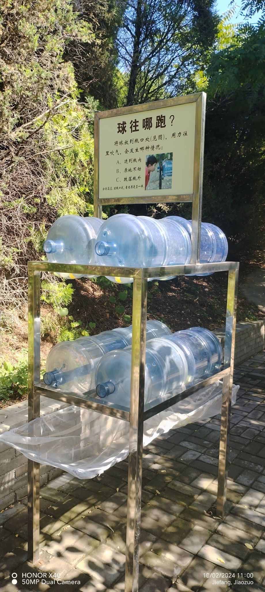 怪坡园旅行图片 3