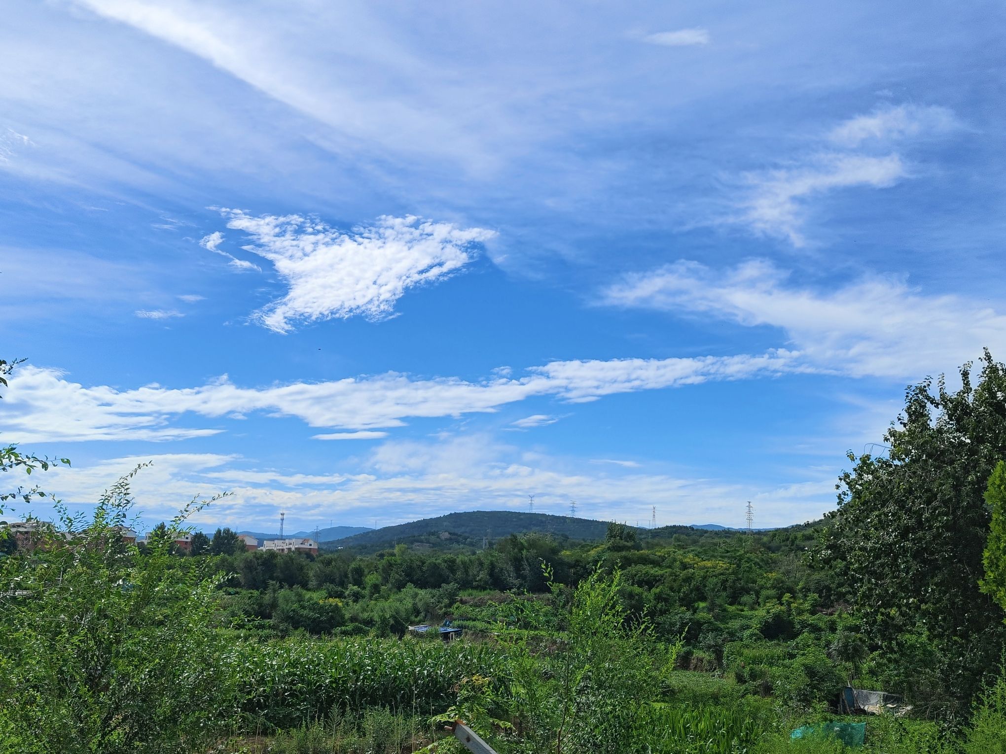 缝山公园旅行图片 3