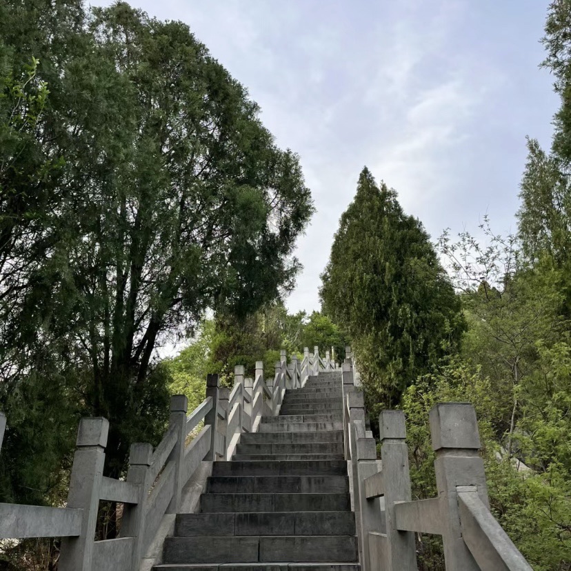 缝山公园旅行图片 2