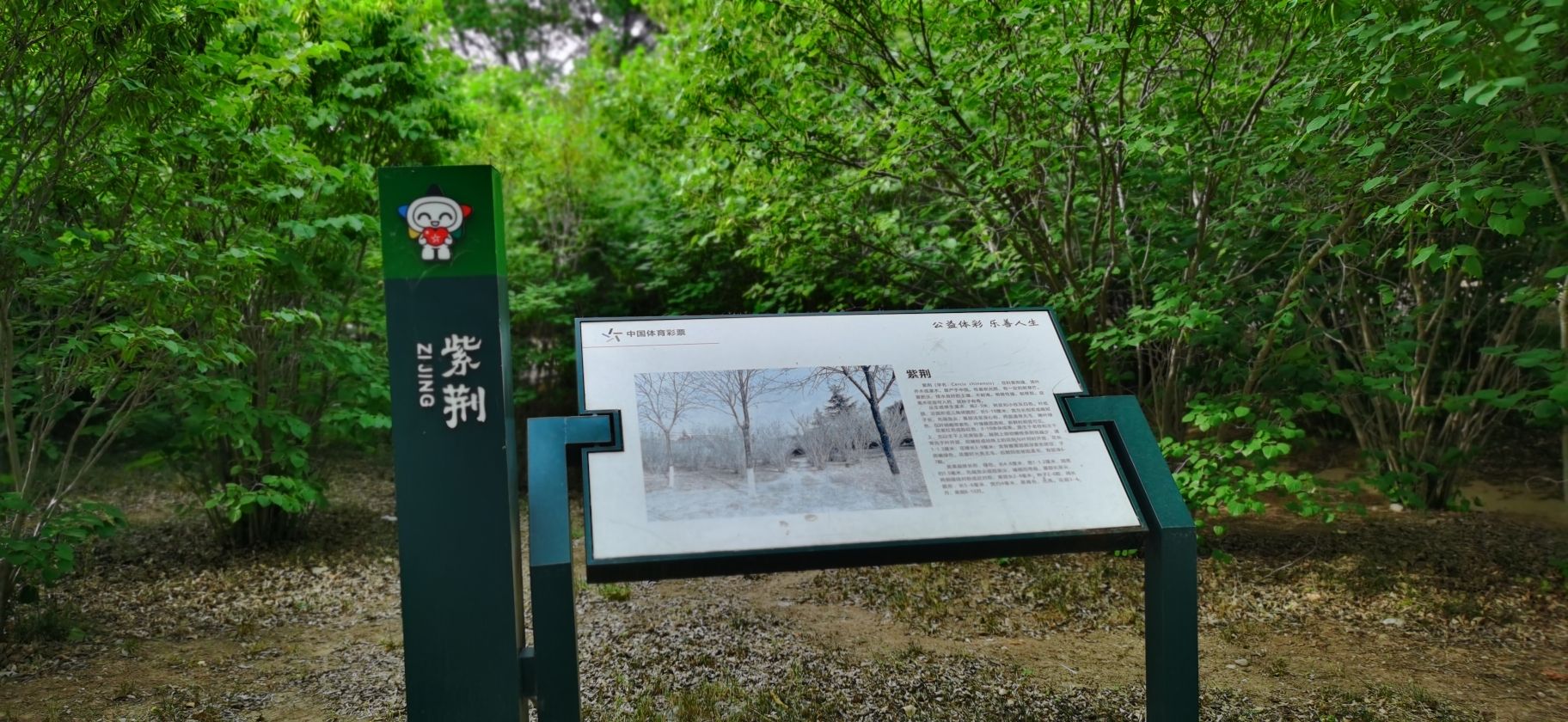 绿园旅行图片 3