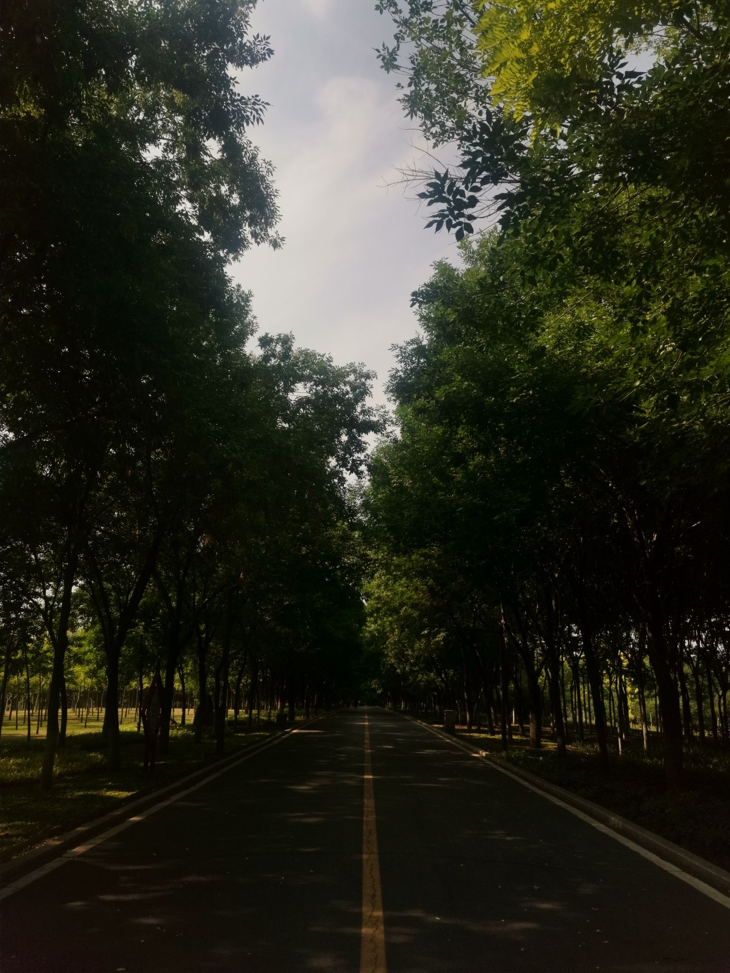 龙源湖公园旅行图片 2