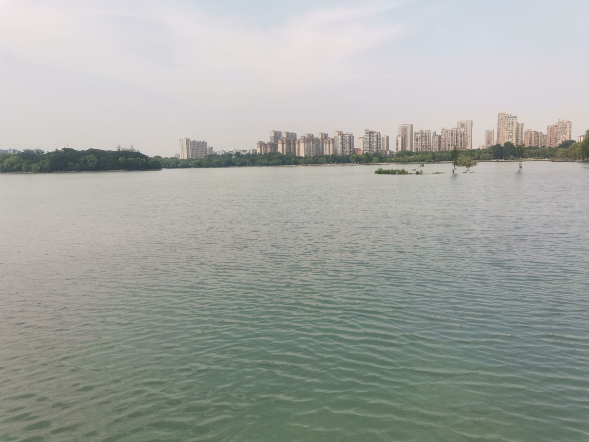 龙源湖公园旅行图片 1