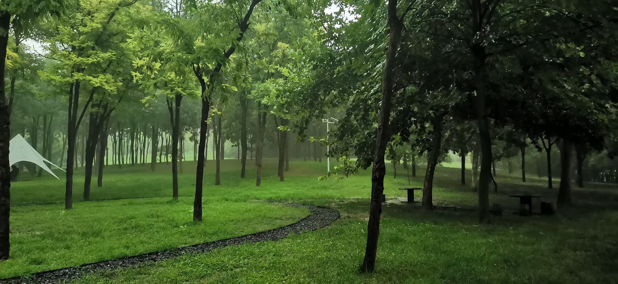 龙源湖公园旅行图片 1