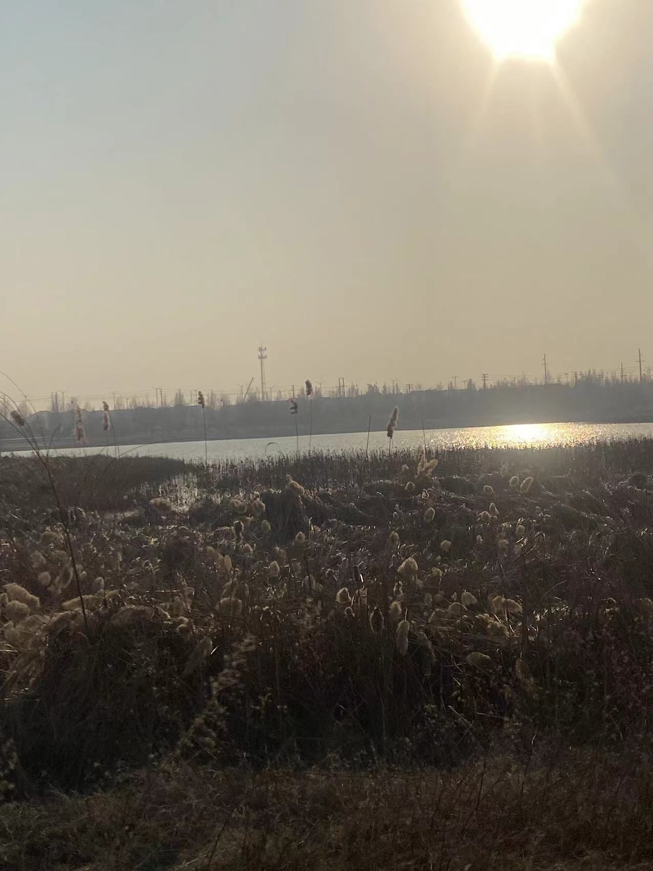 孟州市人民公园旅行图片 3