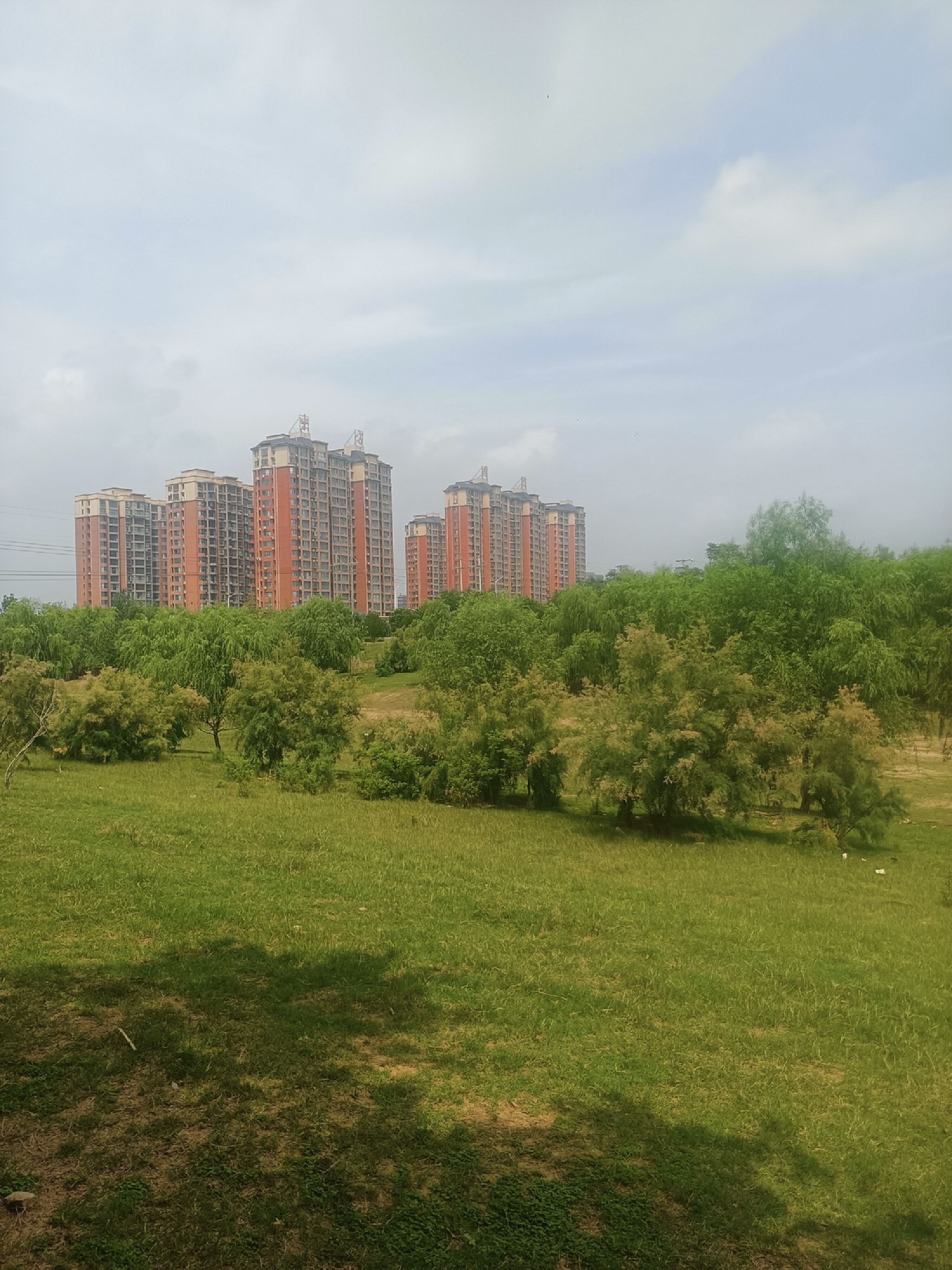 孟州市人民公园旅行图片 2