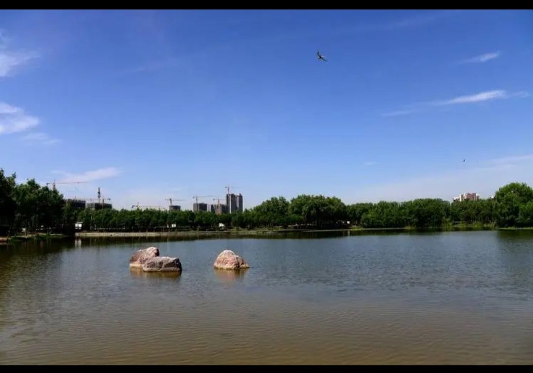 孟州市人民公园旅行图片 2