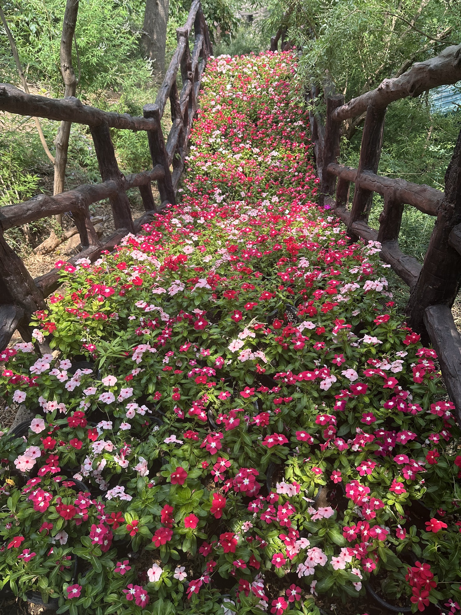 焦作云台山风景名胜区旅行图片 1