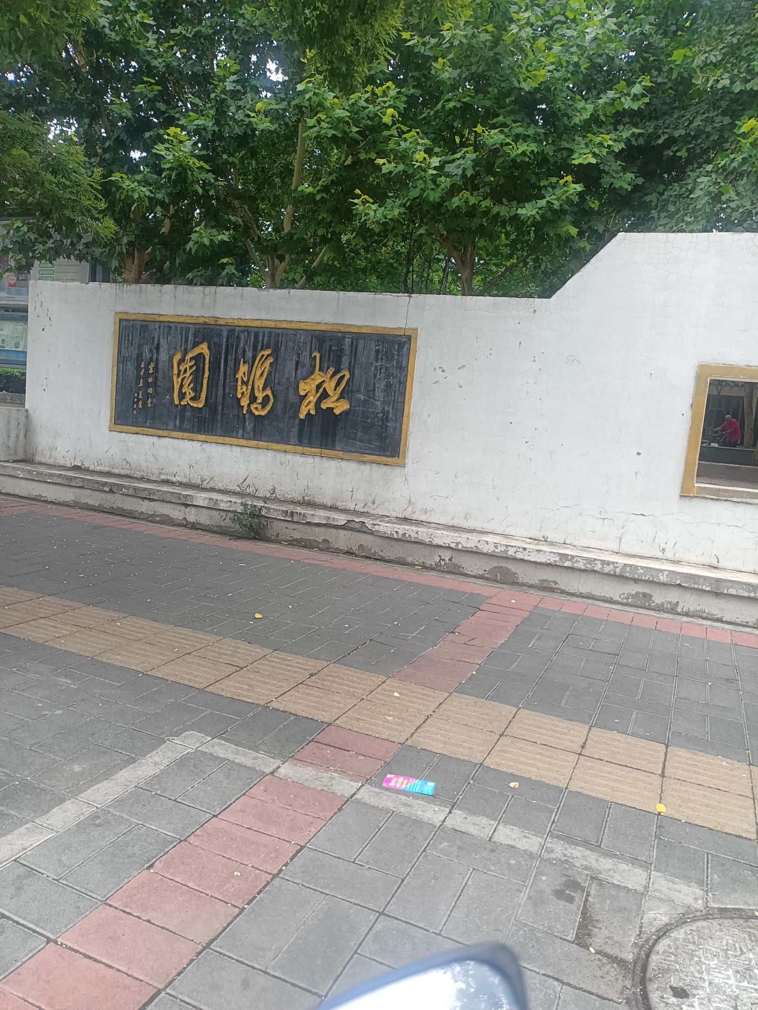 松鹤园旅行图片 2
