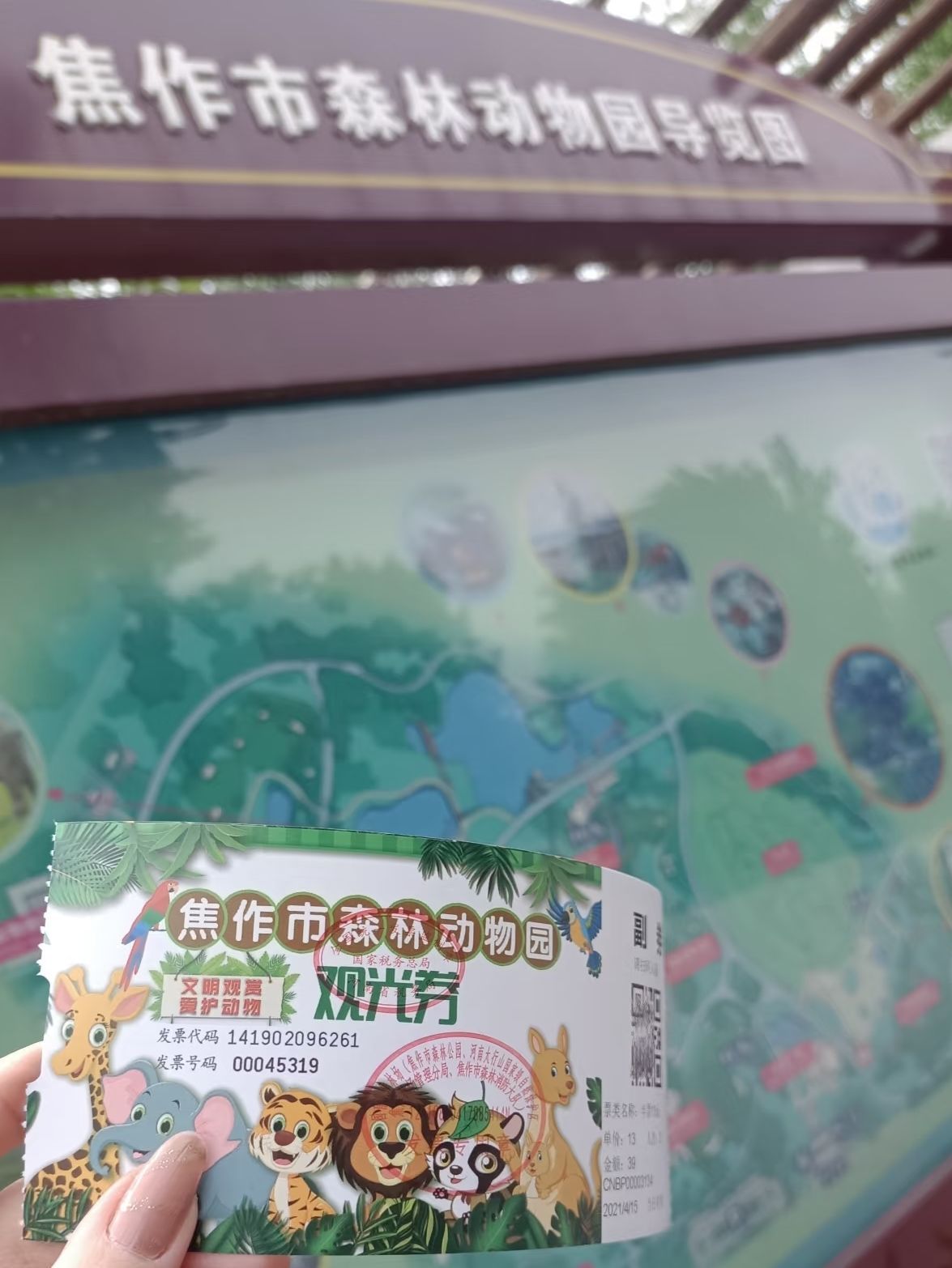 焦作森林动物园景点图片