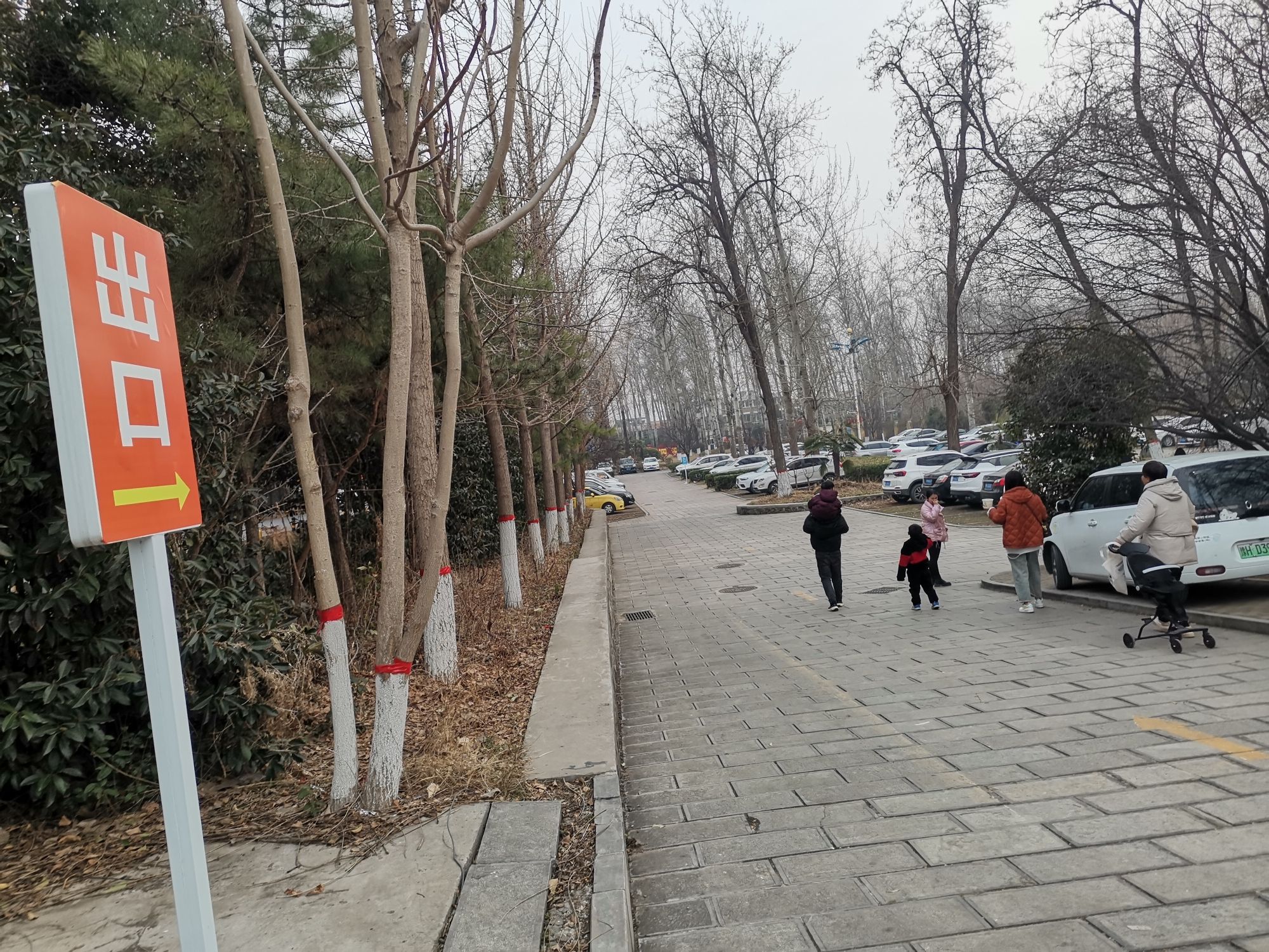 焦作森林动物园旅行图片 1