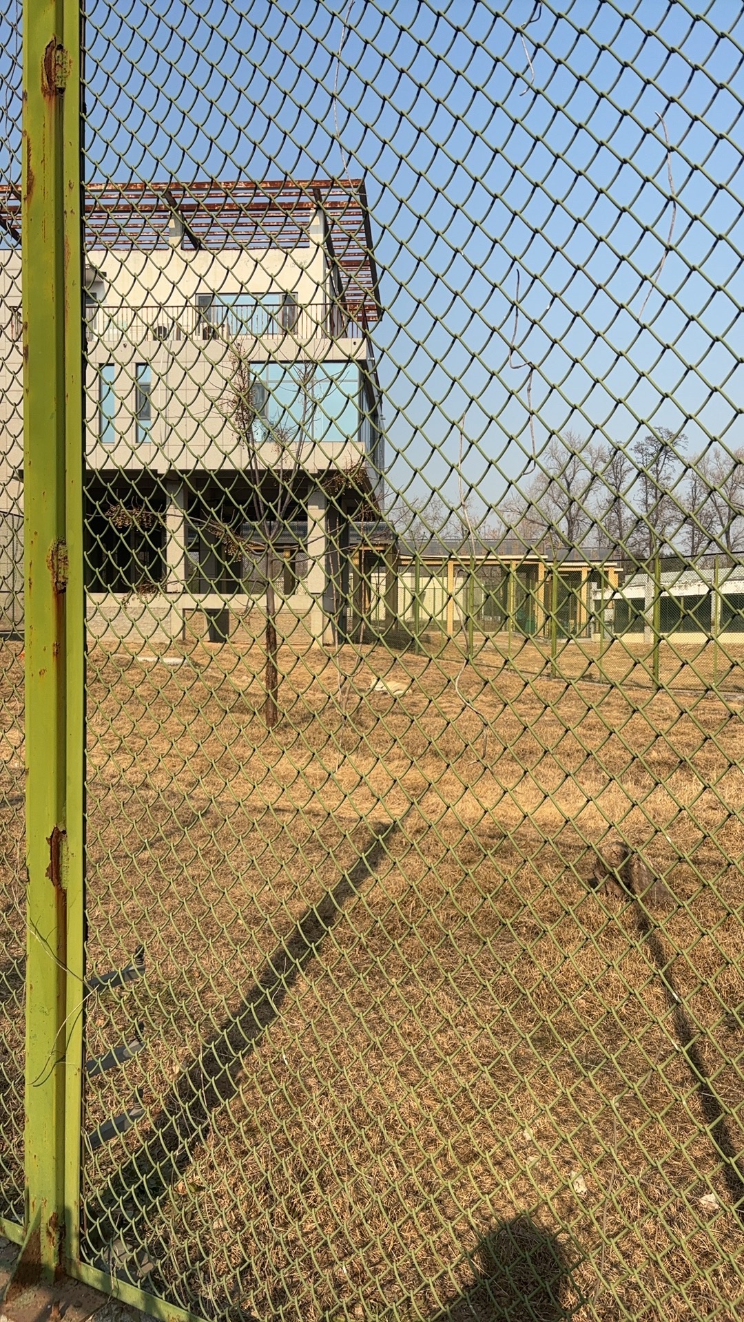 焦作森林动物园旅行图片 2