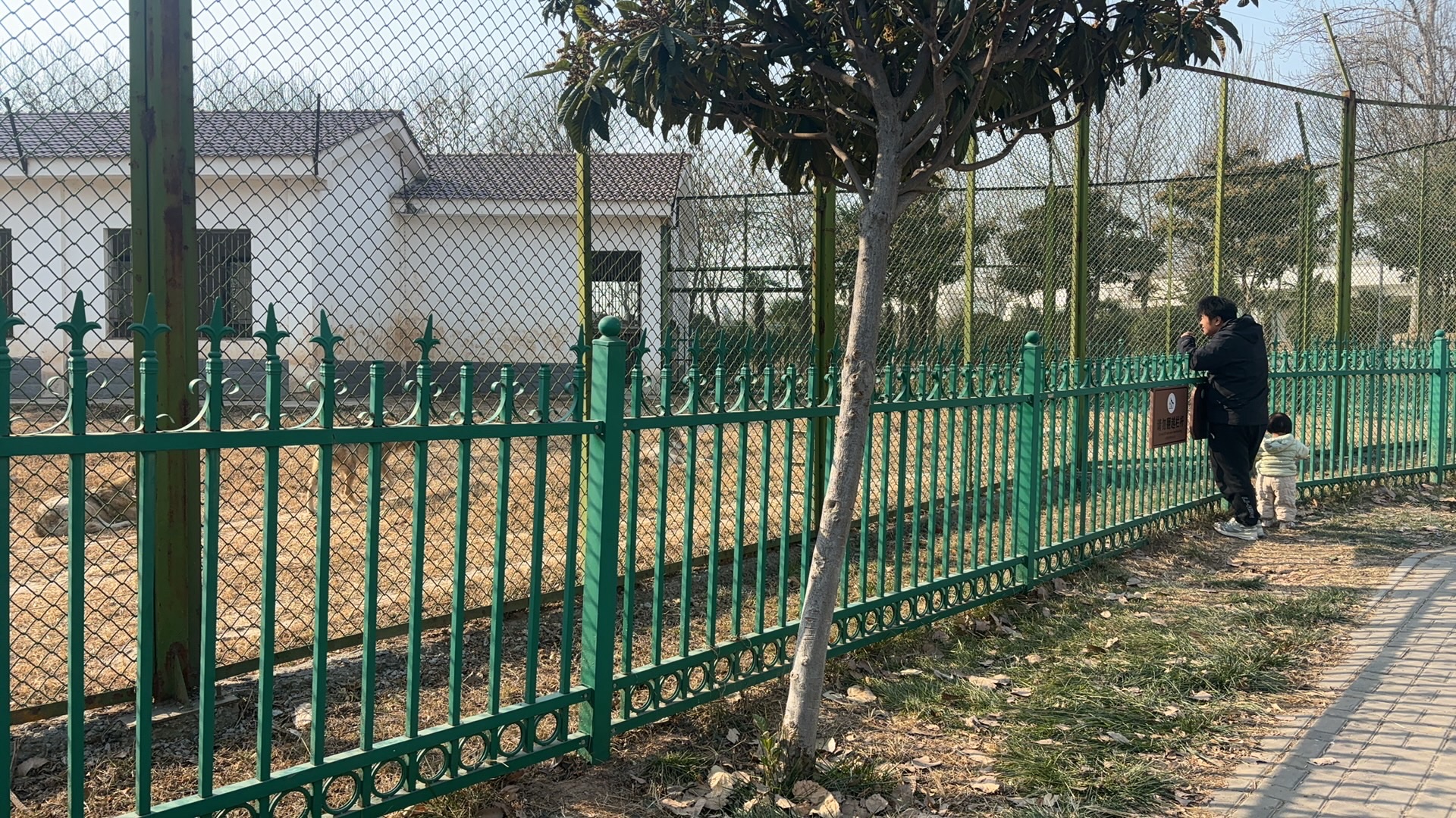 焦作森林动物园旅行图片 1