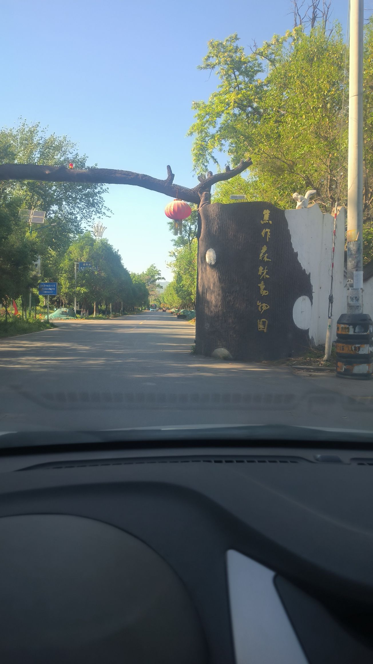 焦作森林动物园旅行图片 3