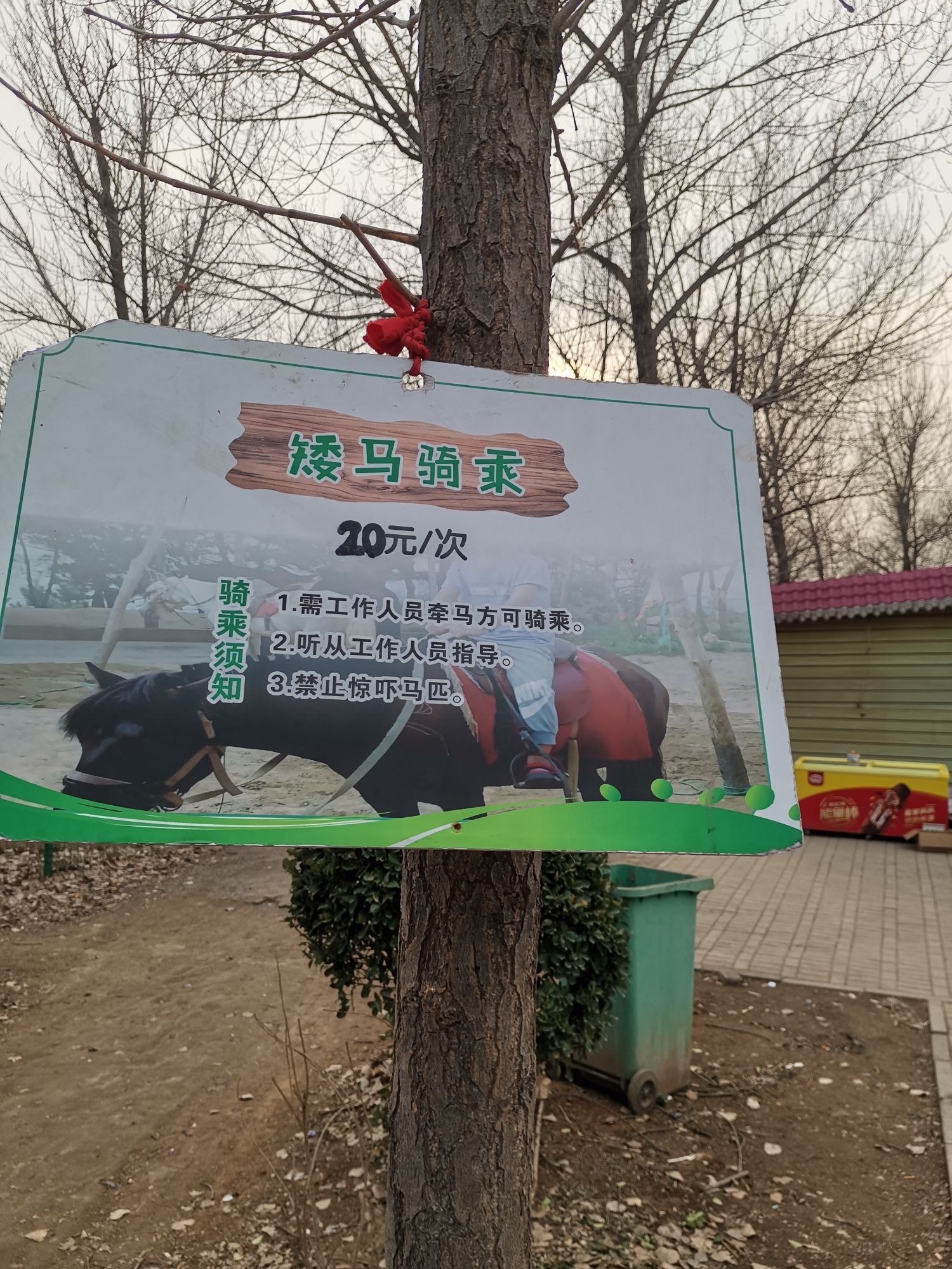 焦作森林动物园旅行图片 3