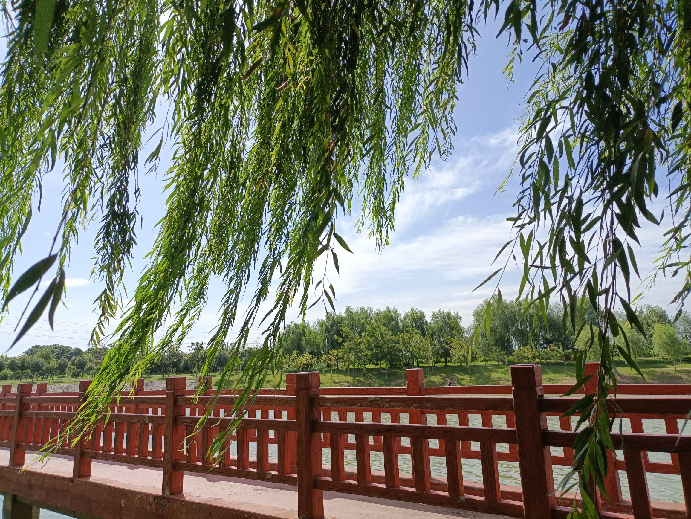 蚰蜒河滨河公园旅行图片 2