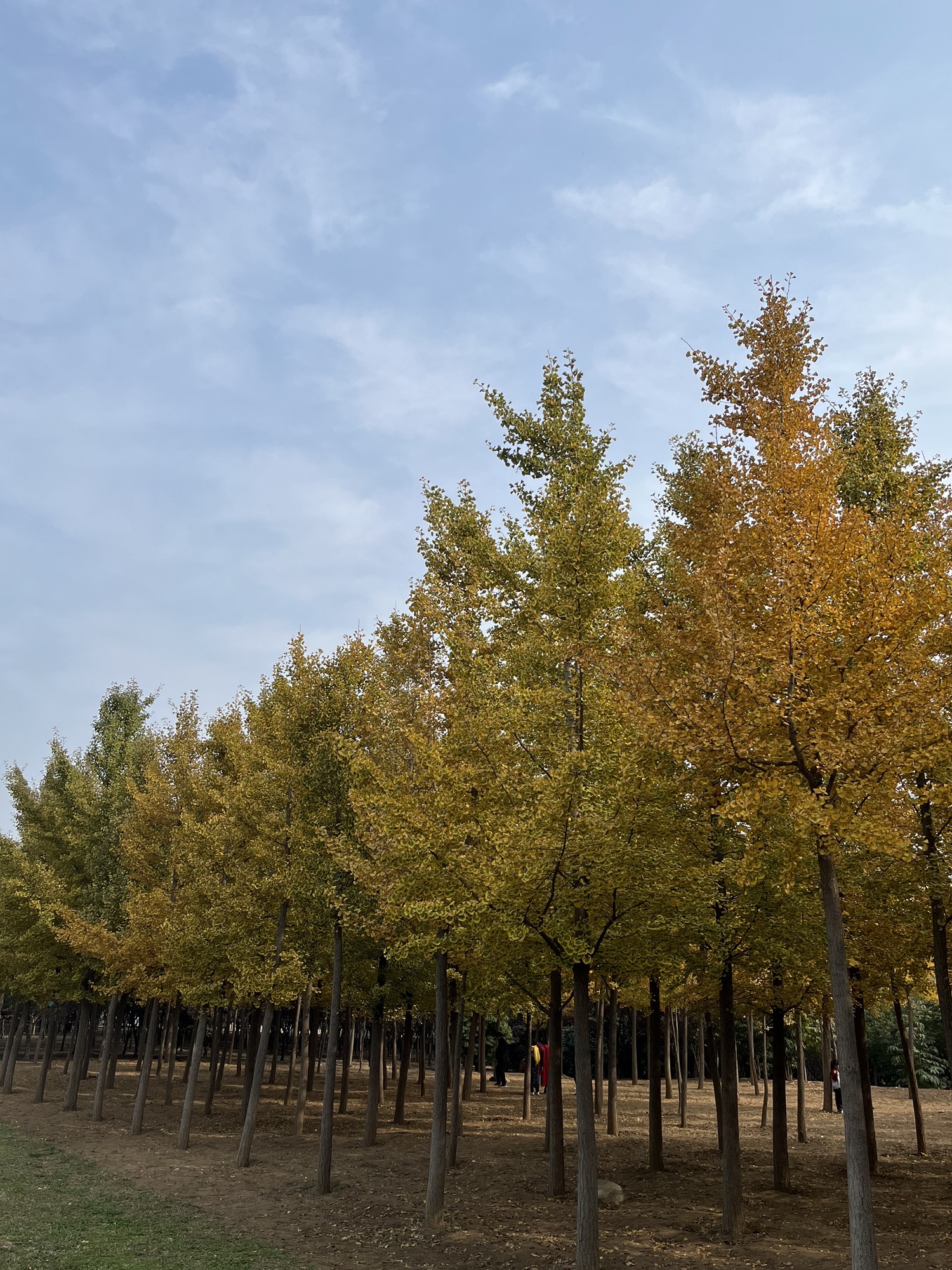 焦作市生态植物园旅行图片 3