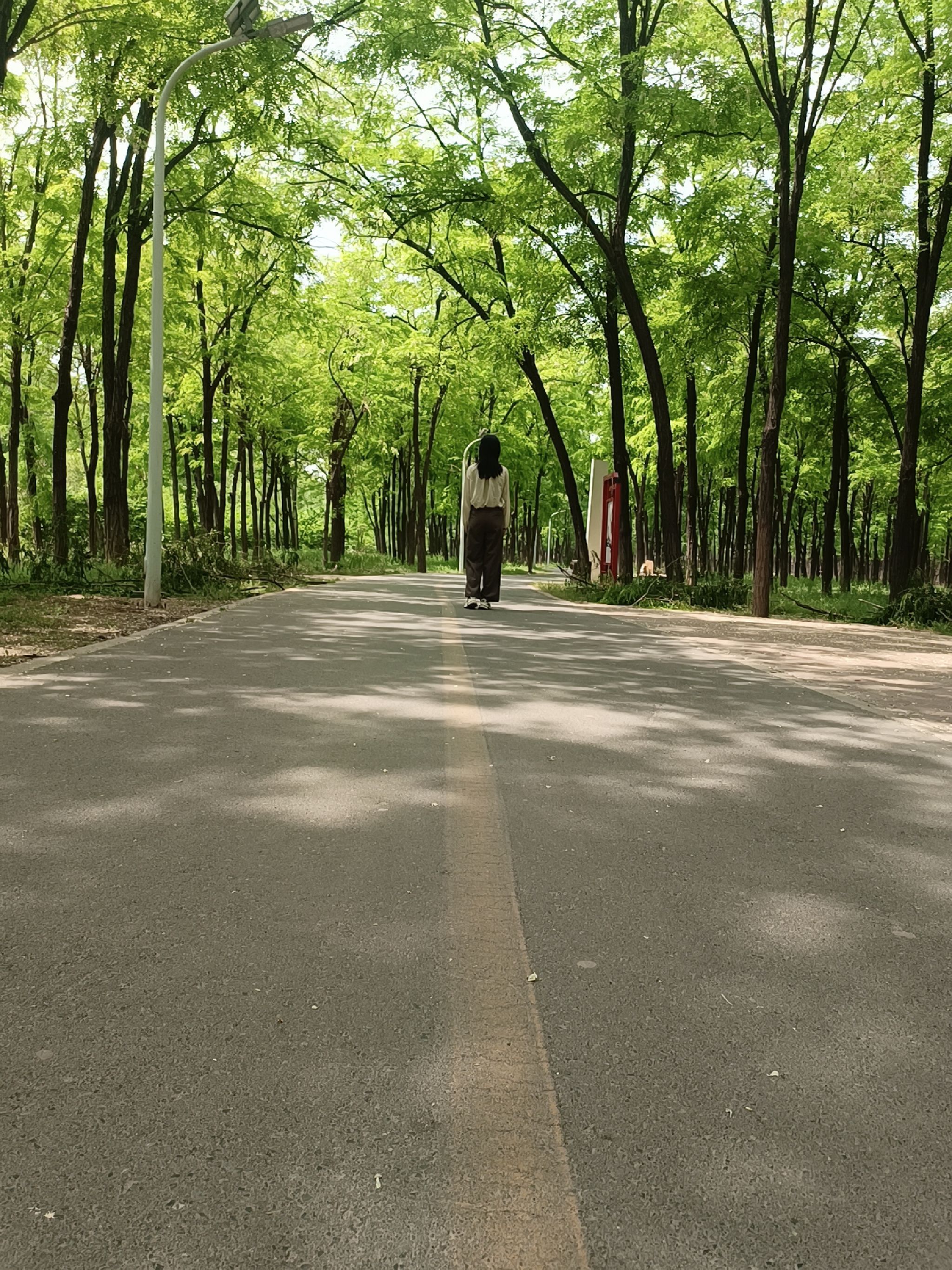 焦作市生态植物园旅行图片 3