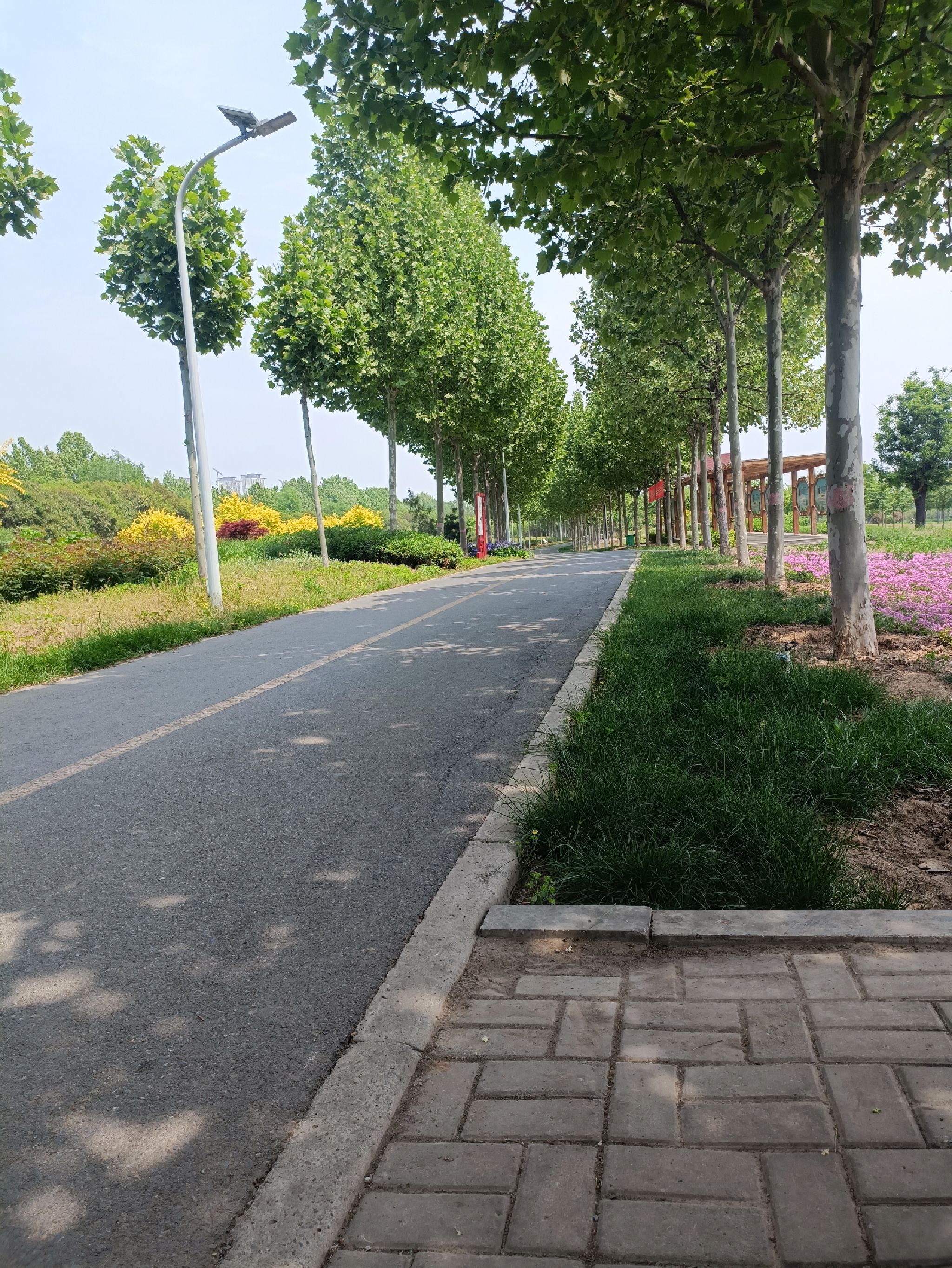 焦作市生态植物园旅行图片 2