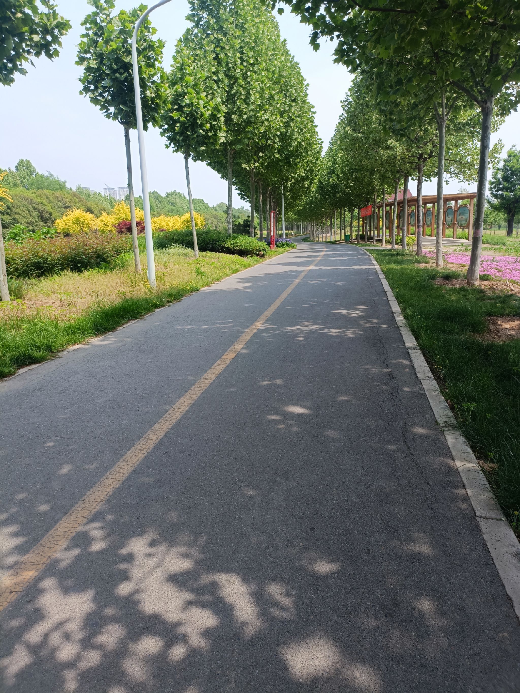 焦作市生态植物园旅行图片 1