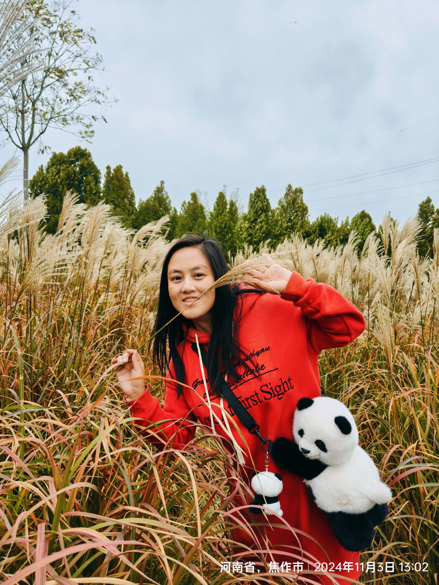 焦作市生态植物园旅行图片 3