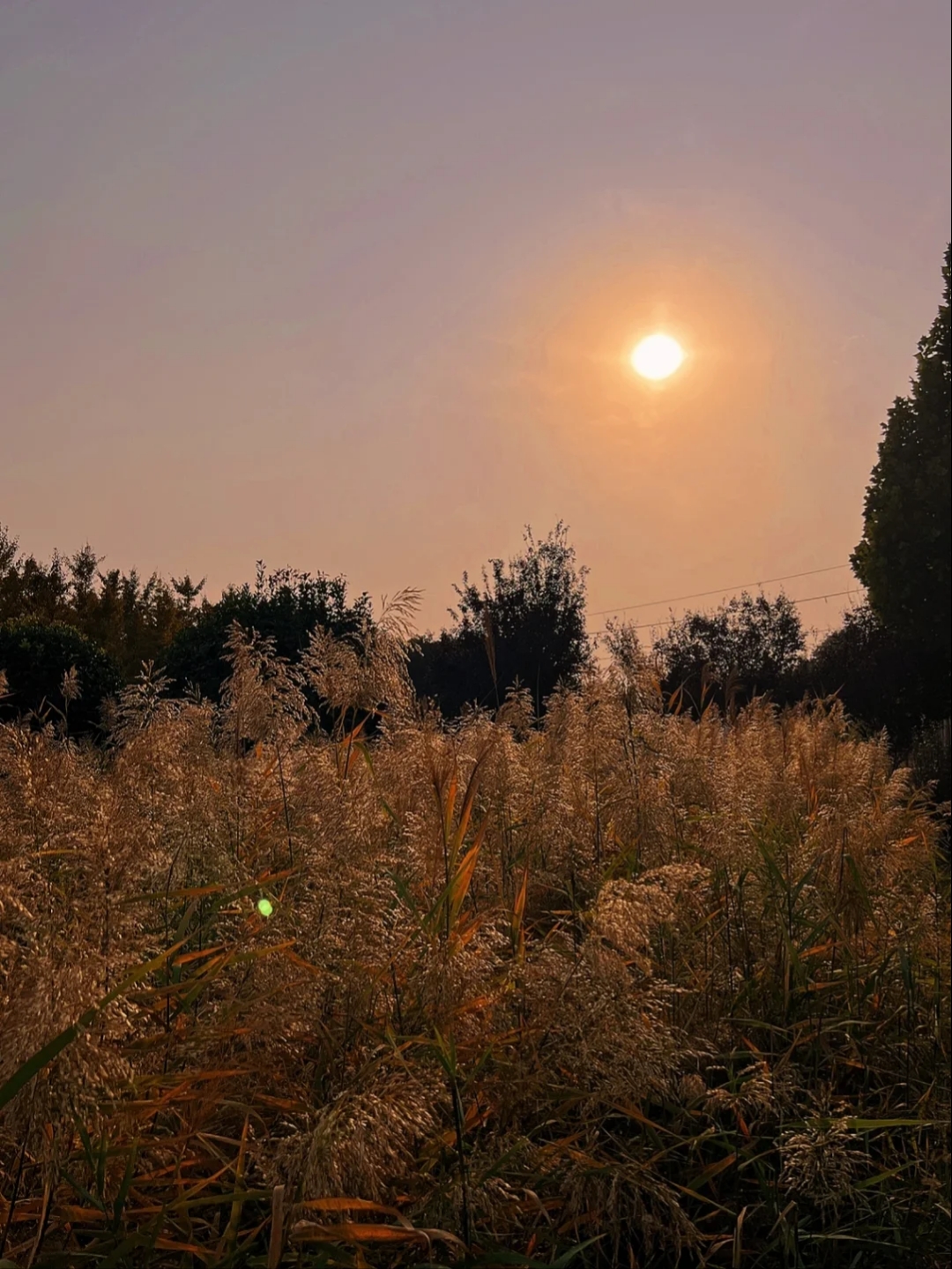 焦作市生态植物园旅行图片 1