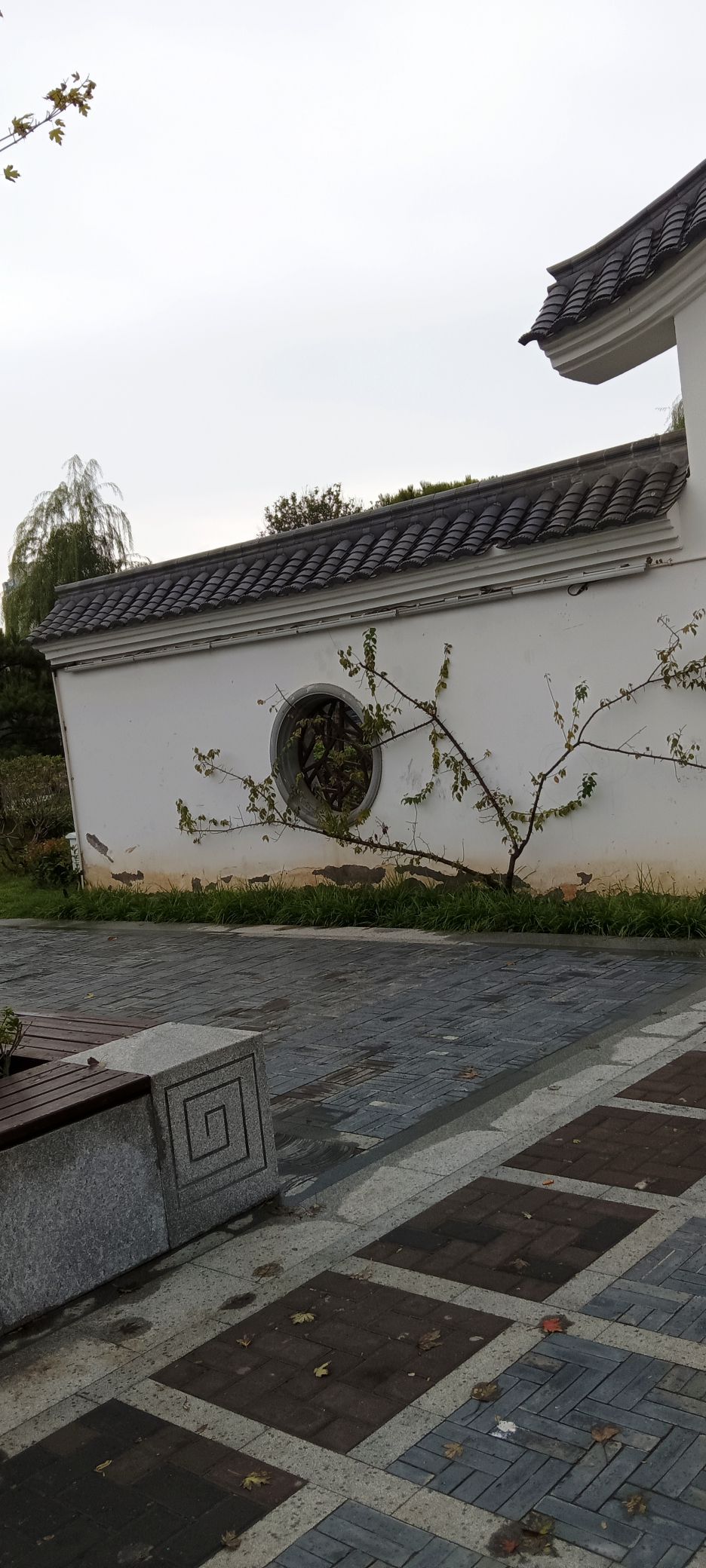 龙泉湖公园旅行图片 1