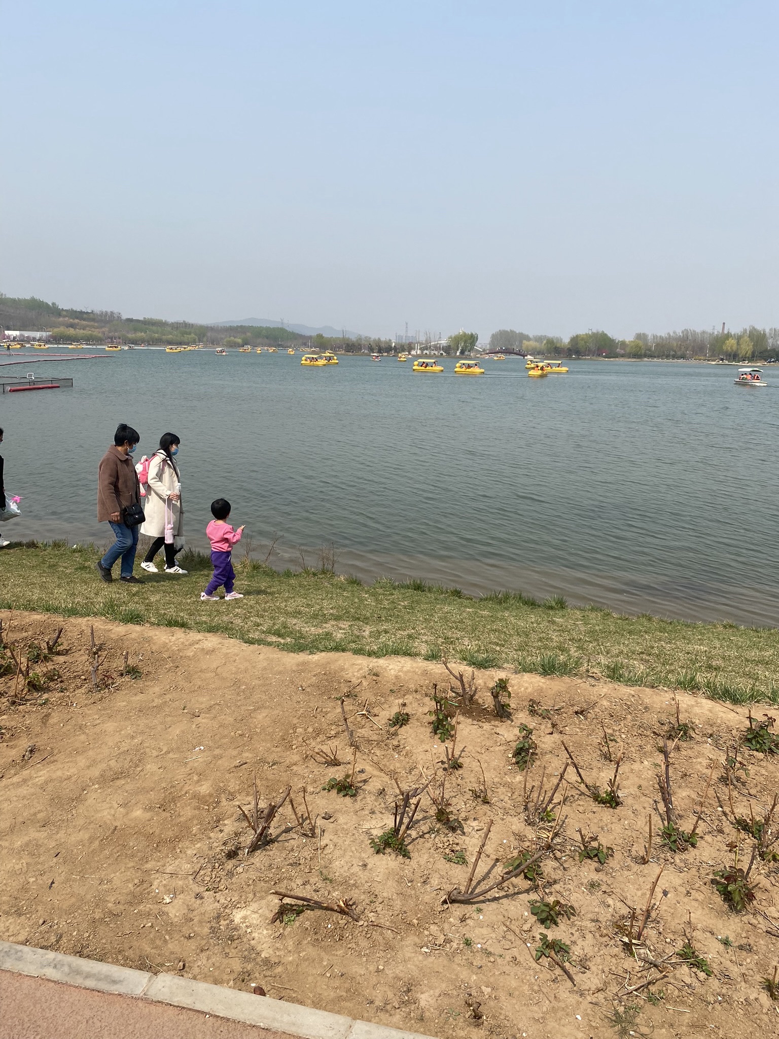 龙泉湖公园旅行图片 3