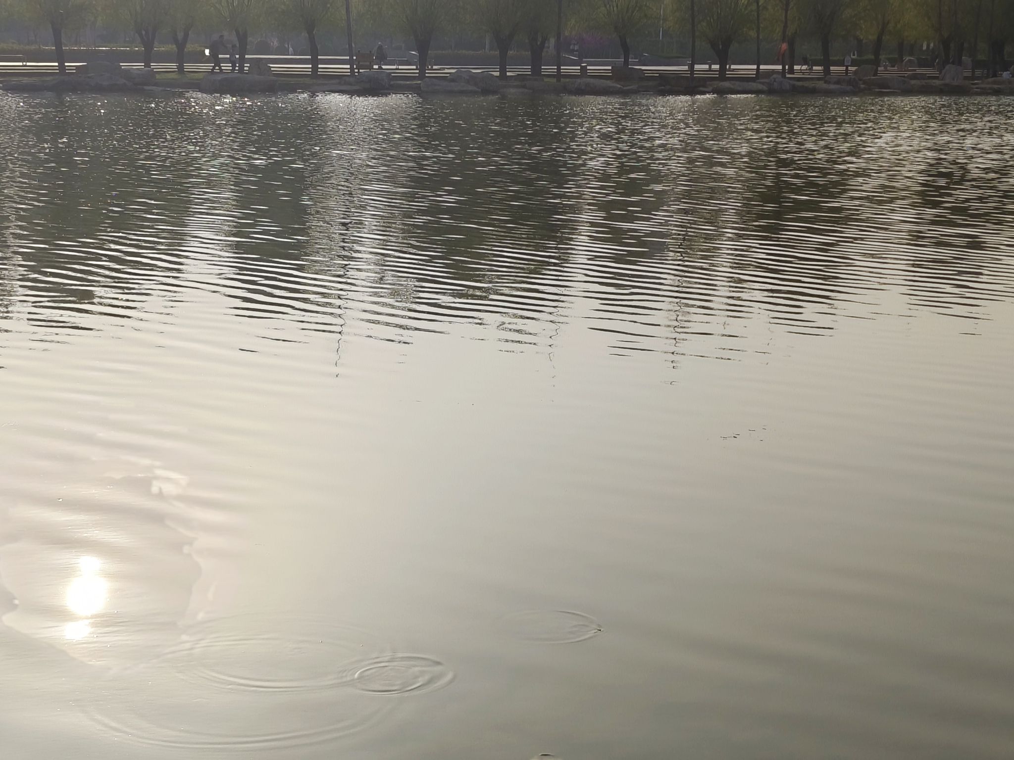龙泉湖公园旅行图片 1