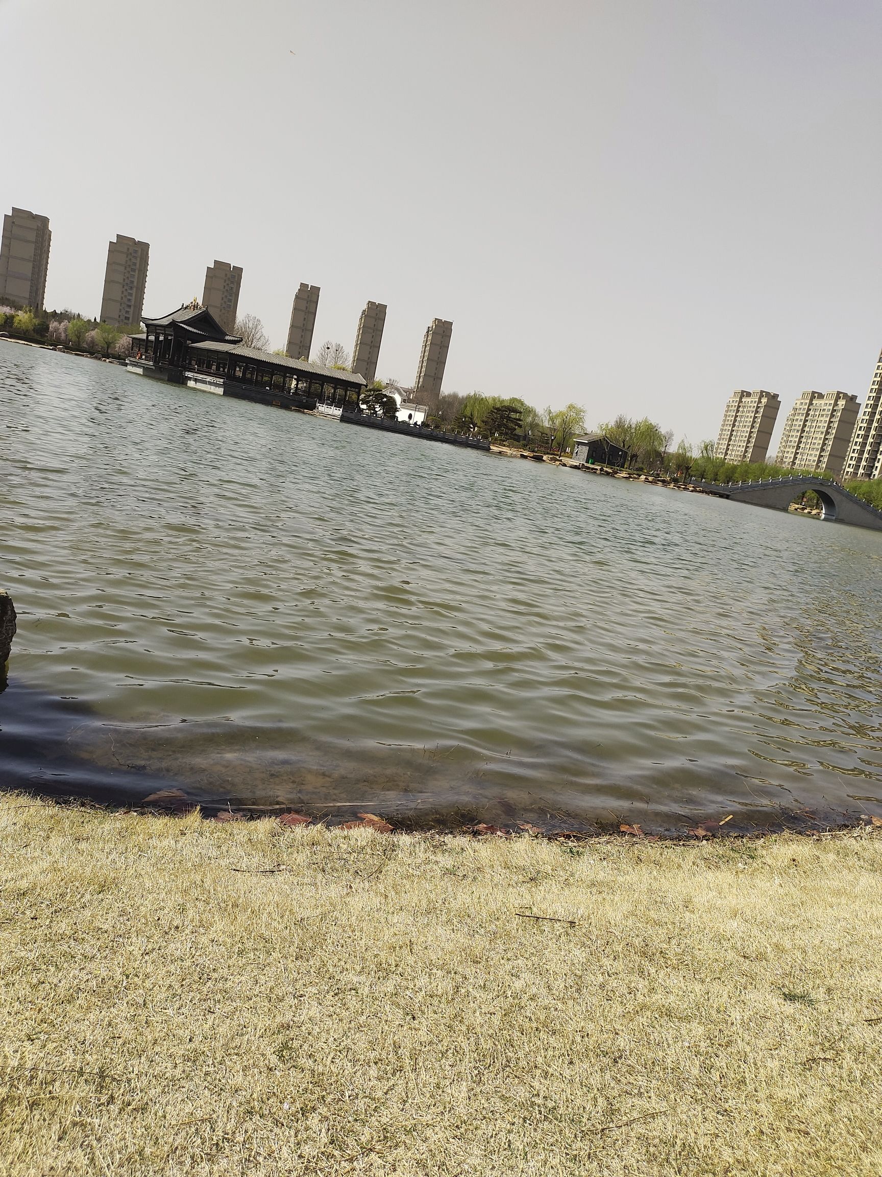 龙泉湖公园旅行图片 2