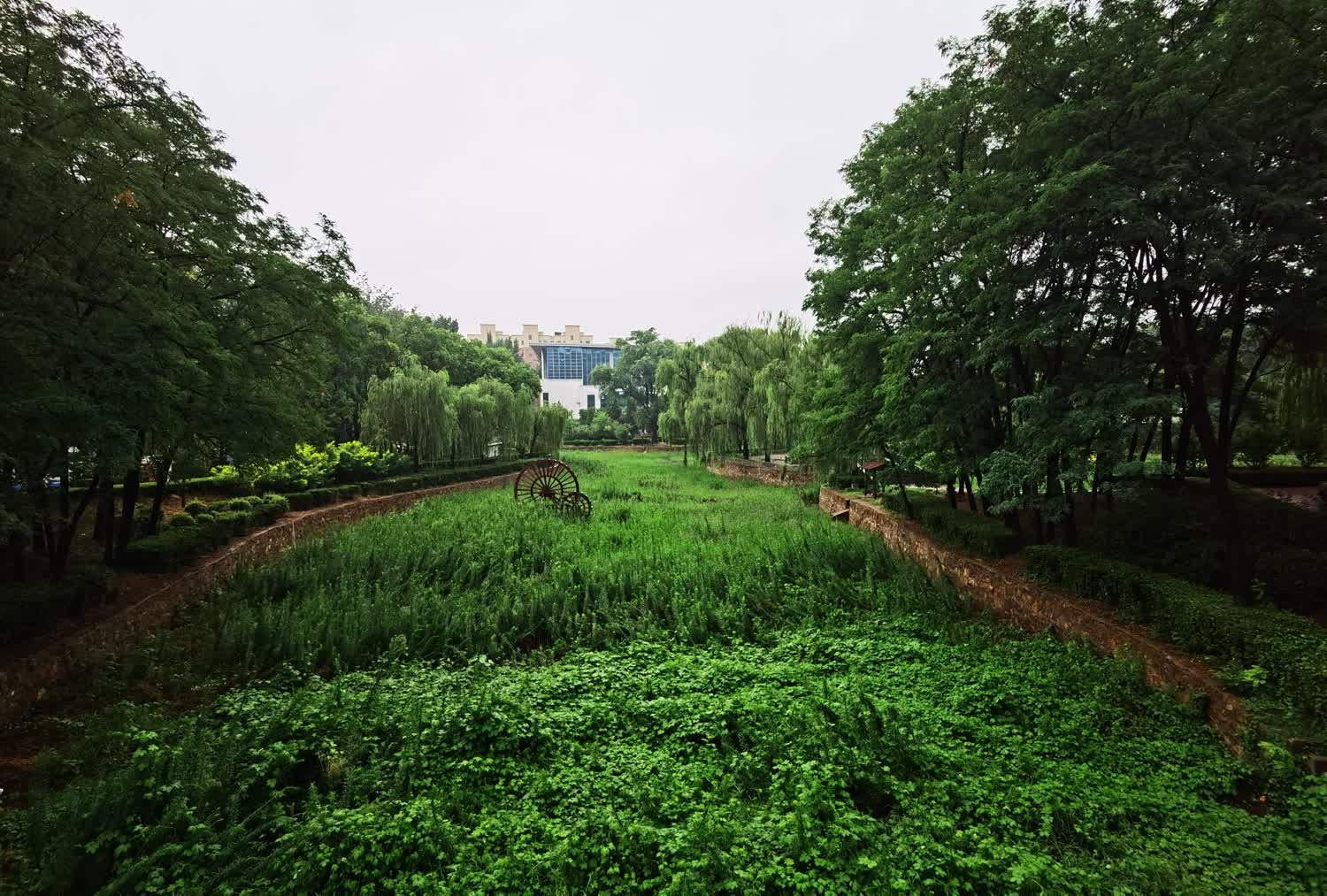 枫岭公园旅行图片 2