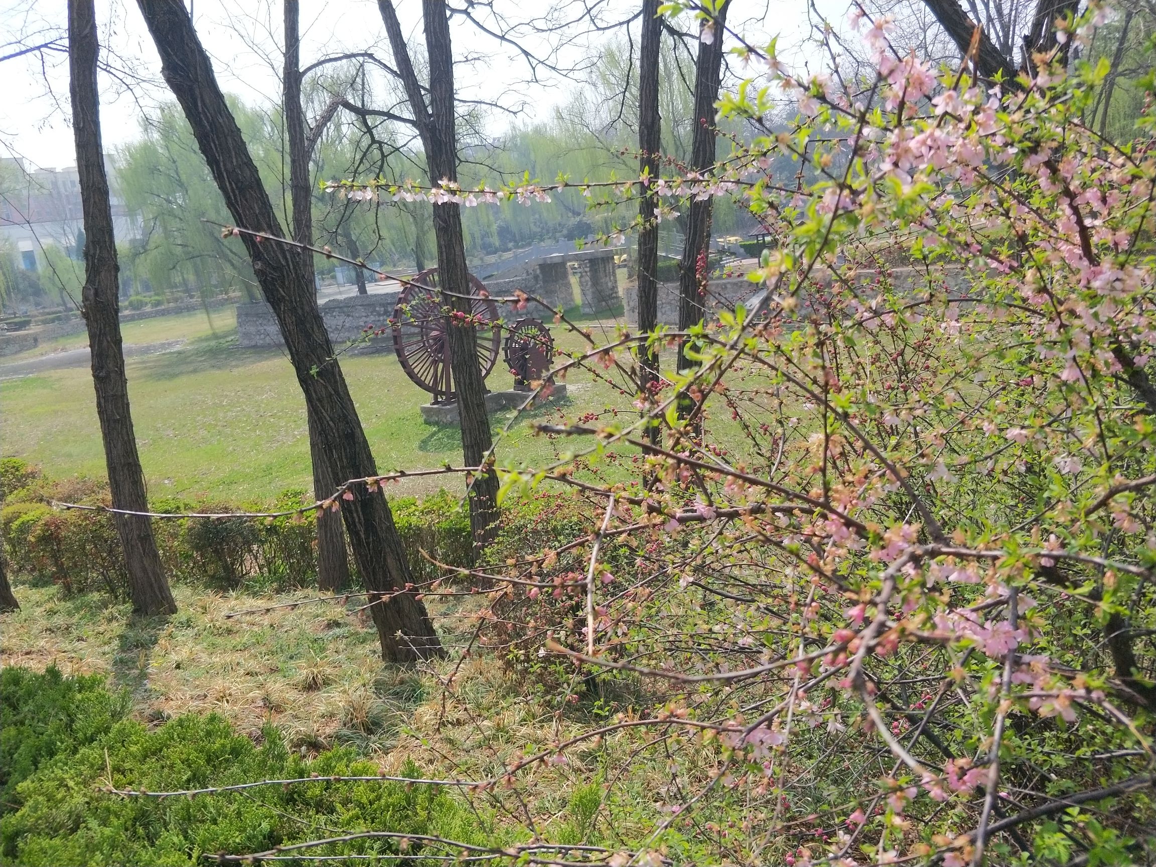 枫岭公园旅行图片 1