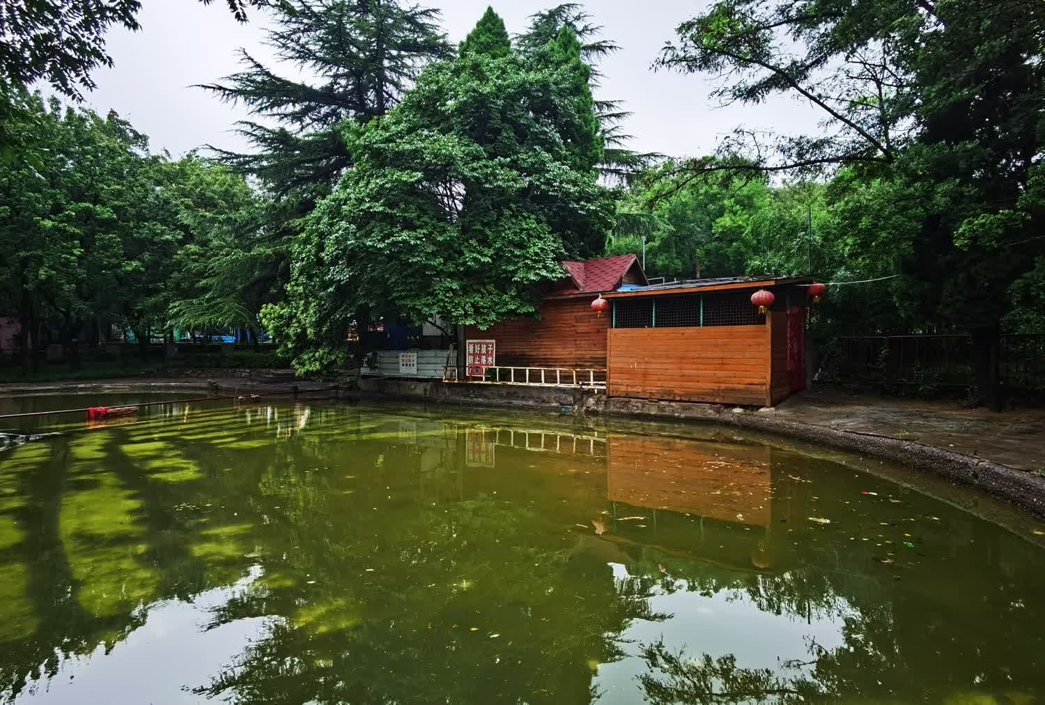 枫岭公园旅行图片 3