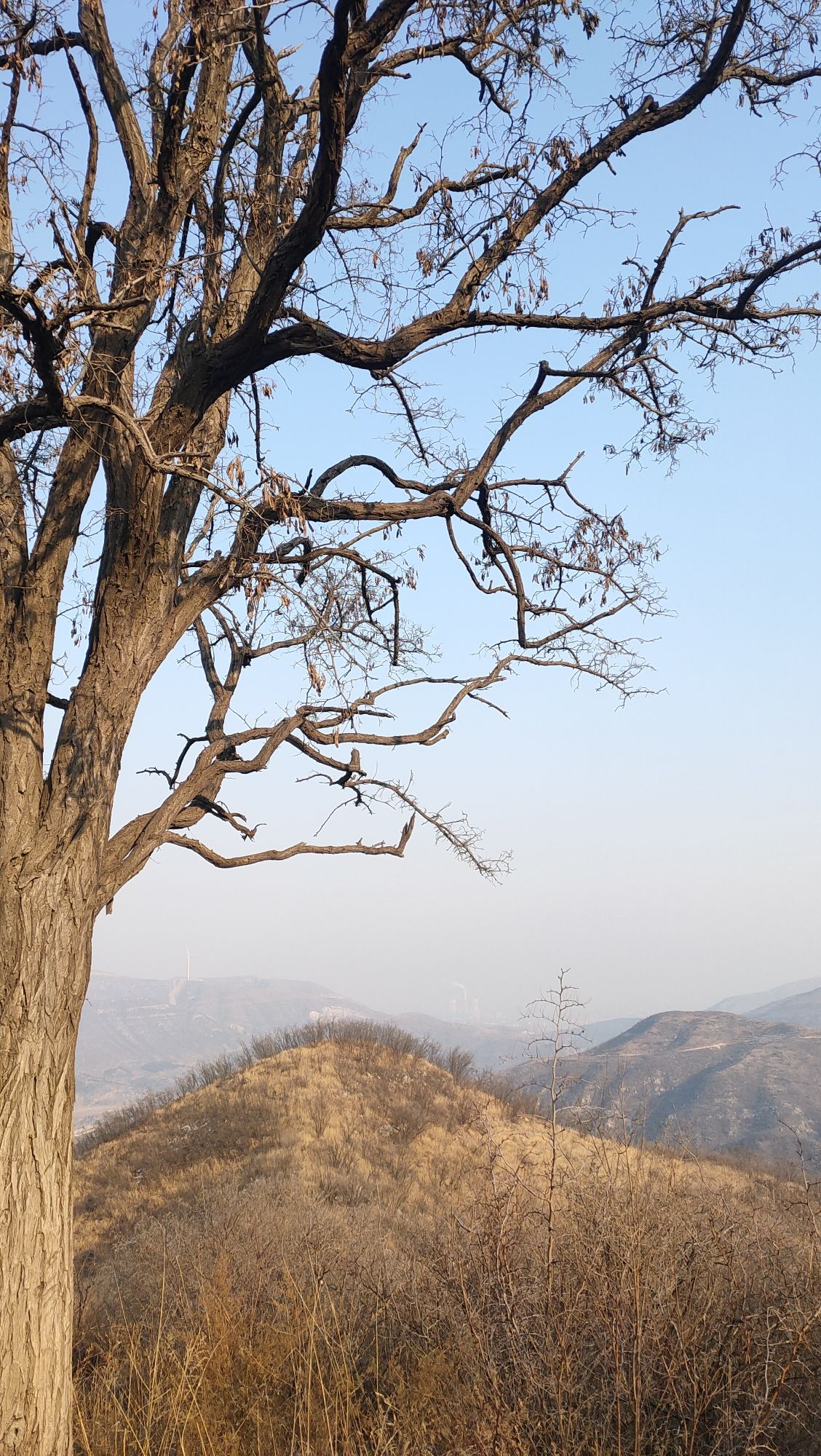 天然太极图景区(暂停开放)旅行图片 1