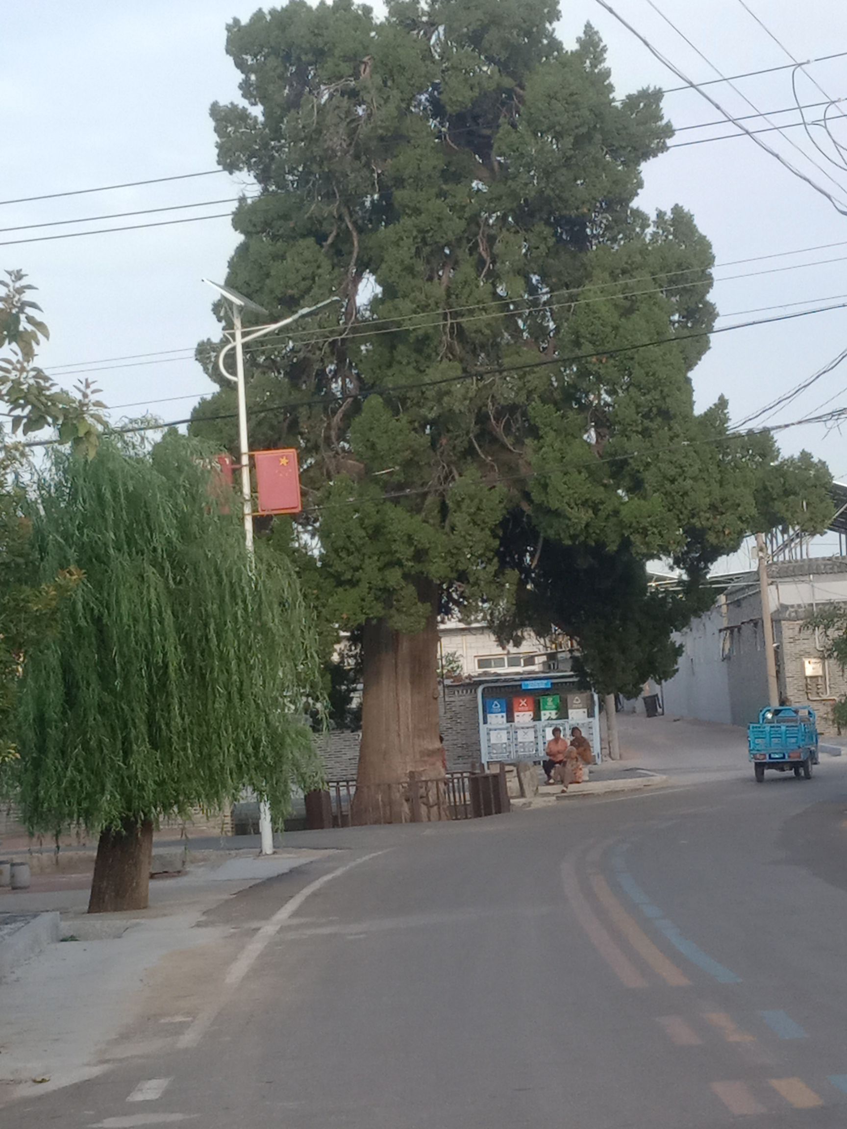 华北第一柏旅行图片 2