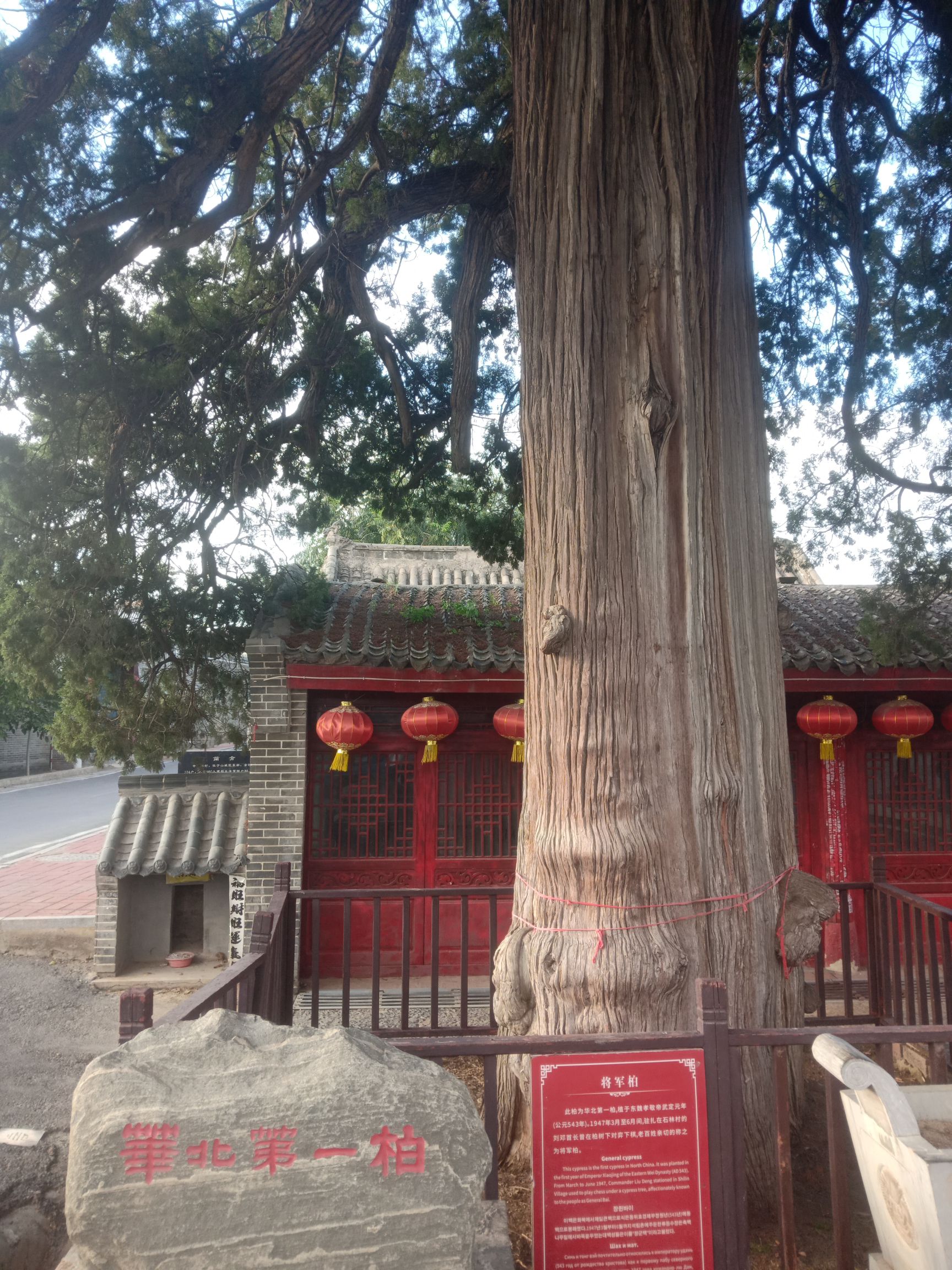 华北第一柏旅行图片 1