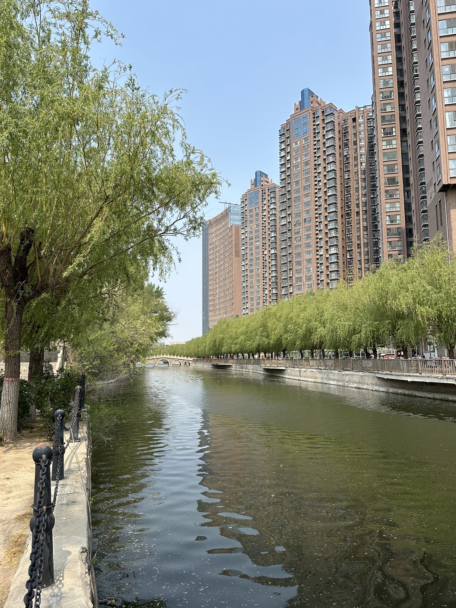新蕾公园旅行图片 3