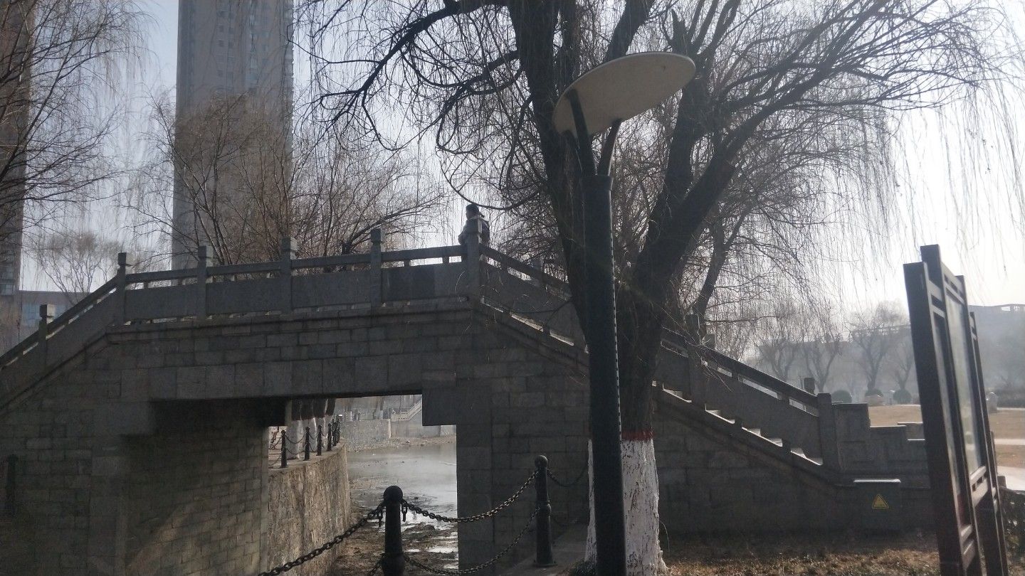 新蕾公园旅行图片 3
