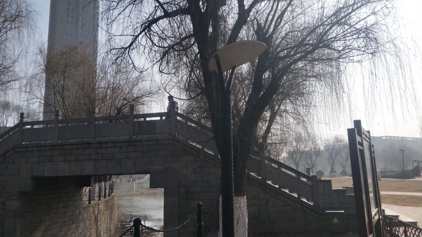 新蕾公园旅行图片 2