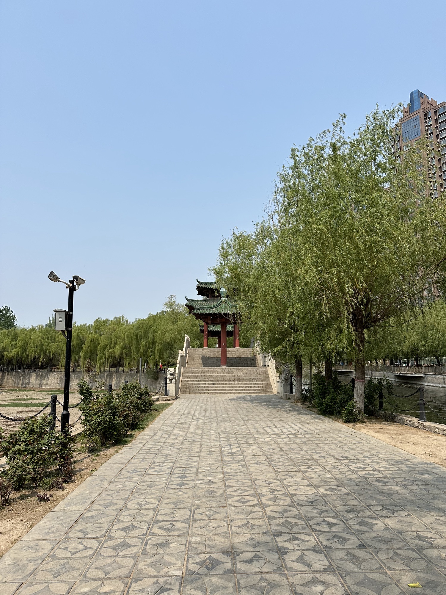 新蕾公园旅行图片 2
