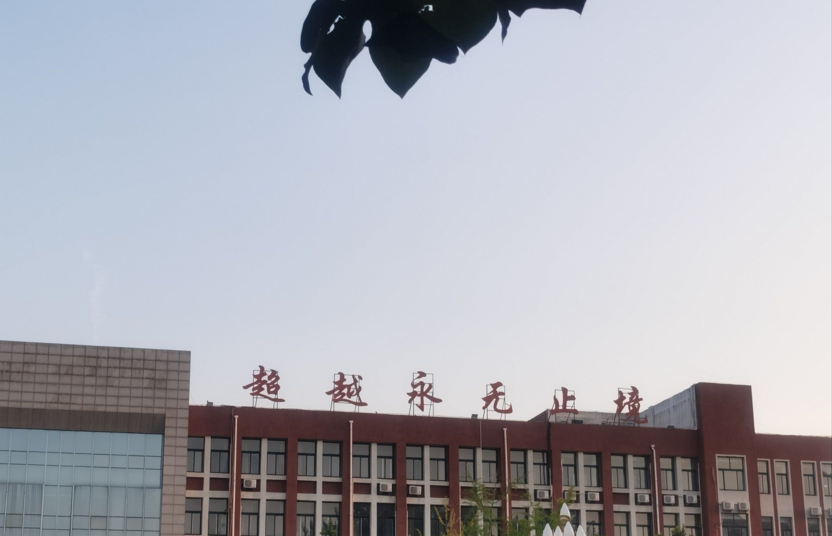 濮阳市实验中学